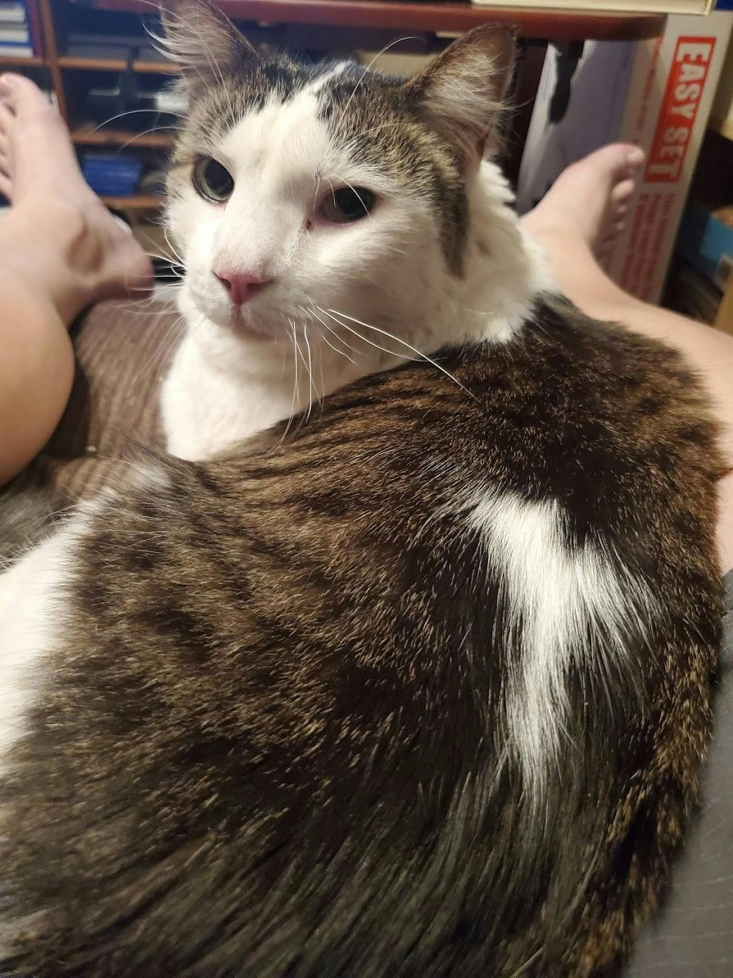 user avatar image for Rodney