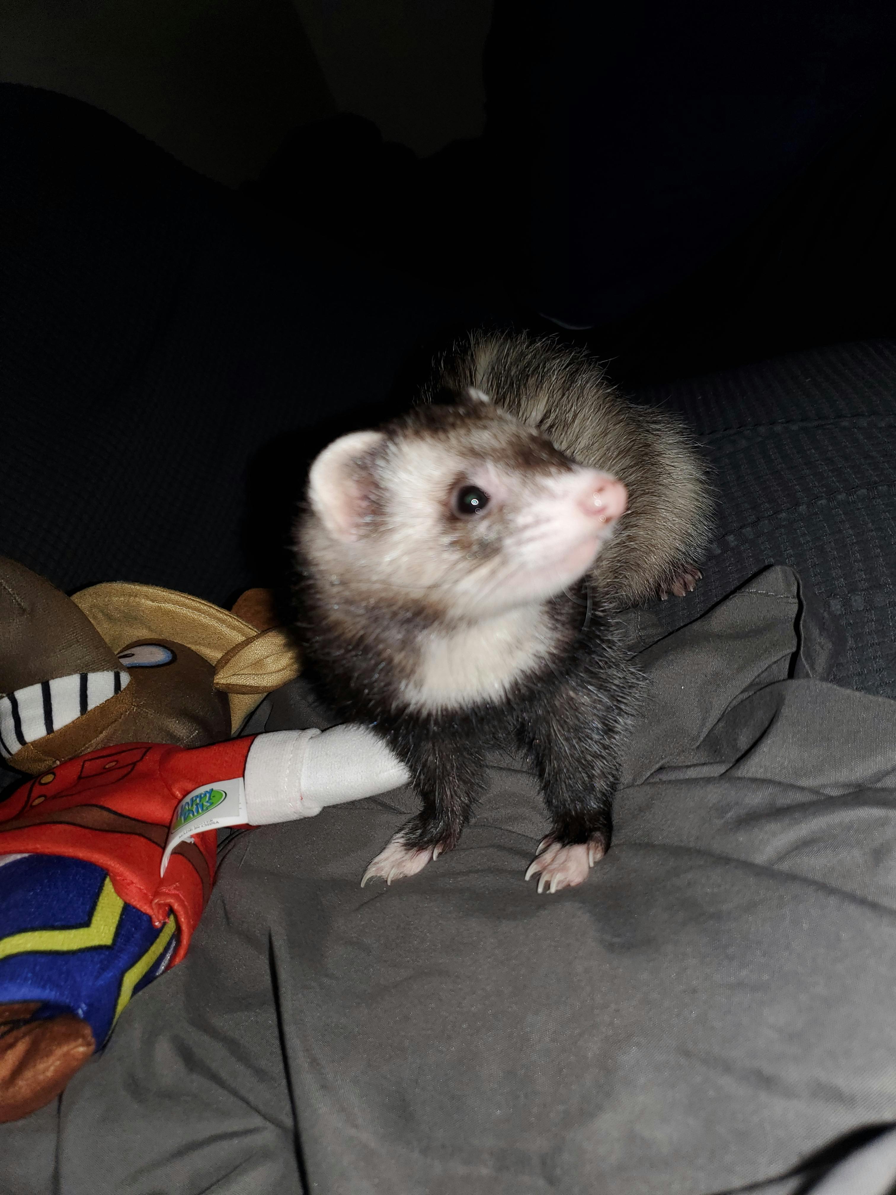 user avatar image for Arianne Riopel