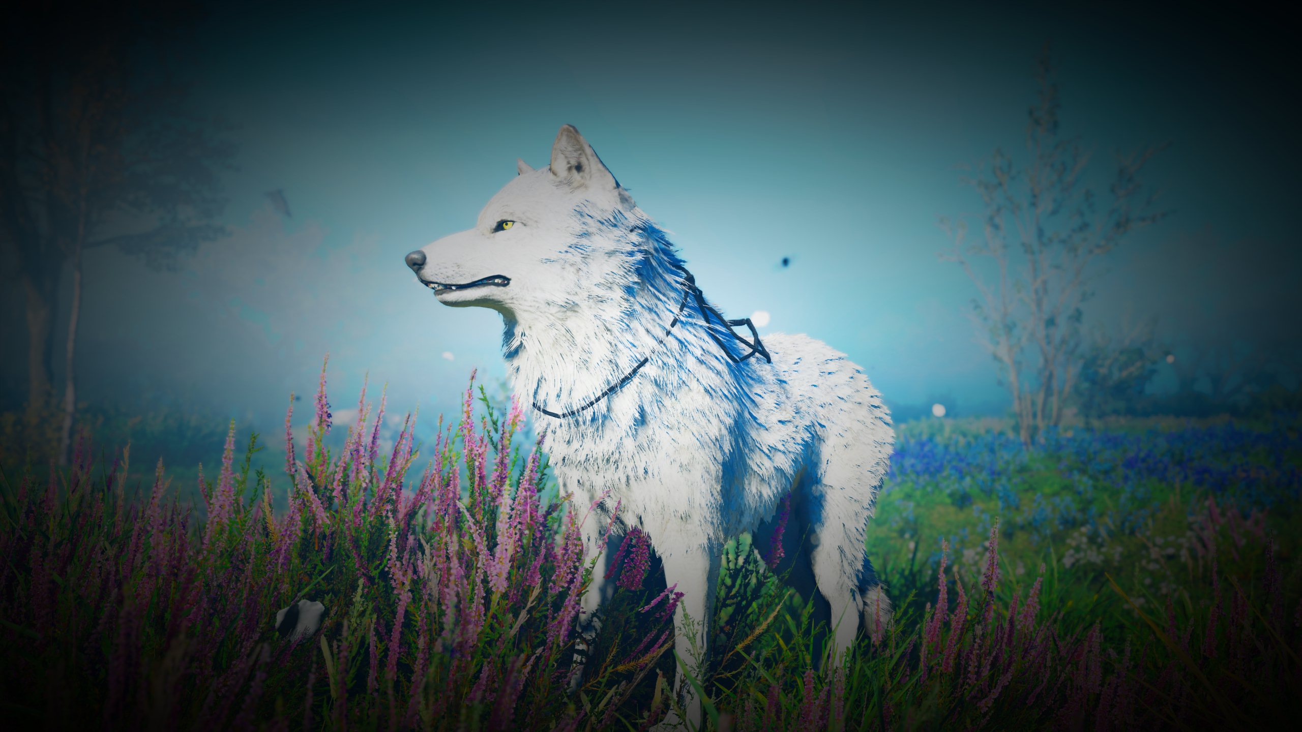 user avatar image for Chellerose