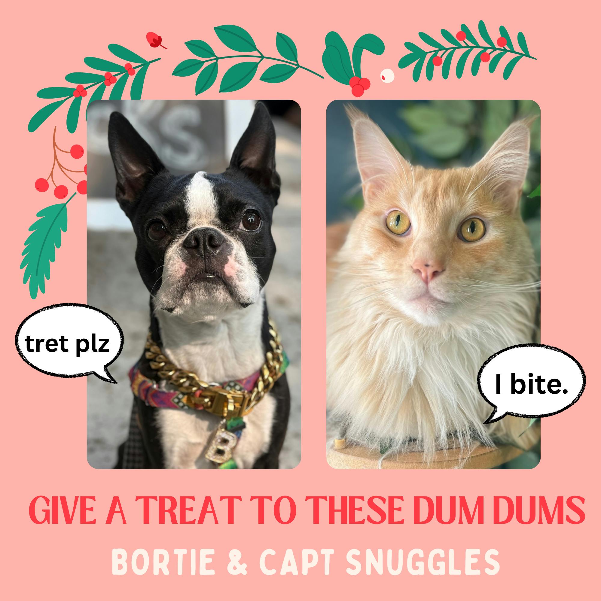 donate $1 to snacks for Pets- NO REWARDS