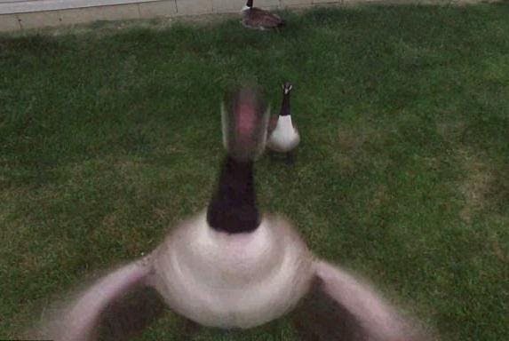 user avatar image for marazur