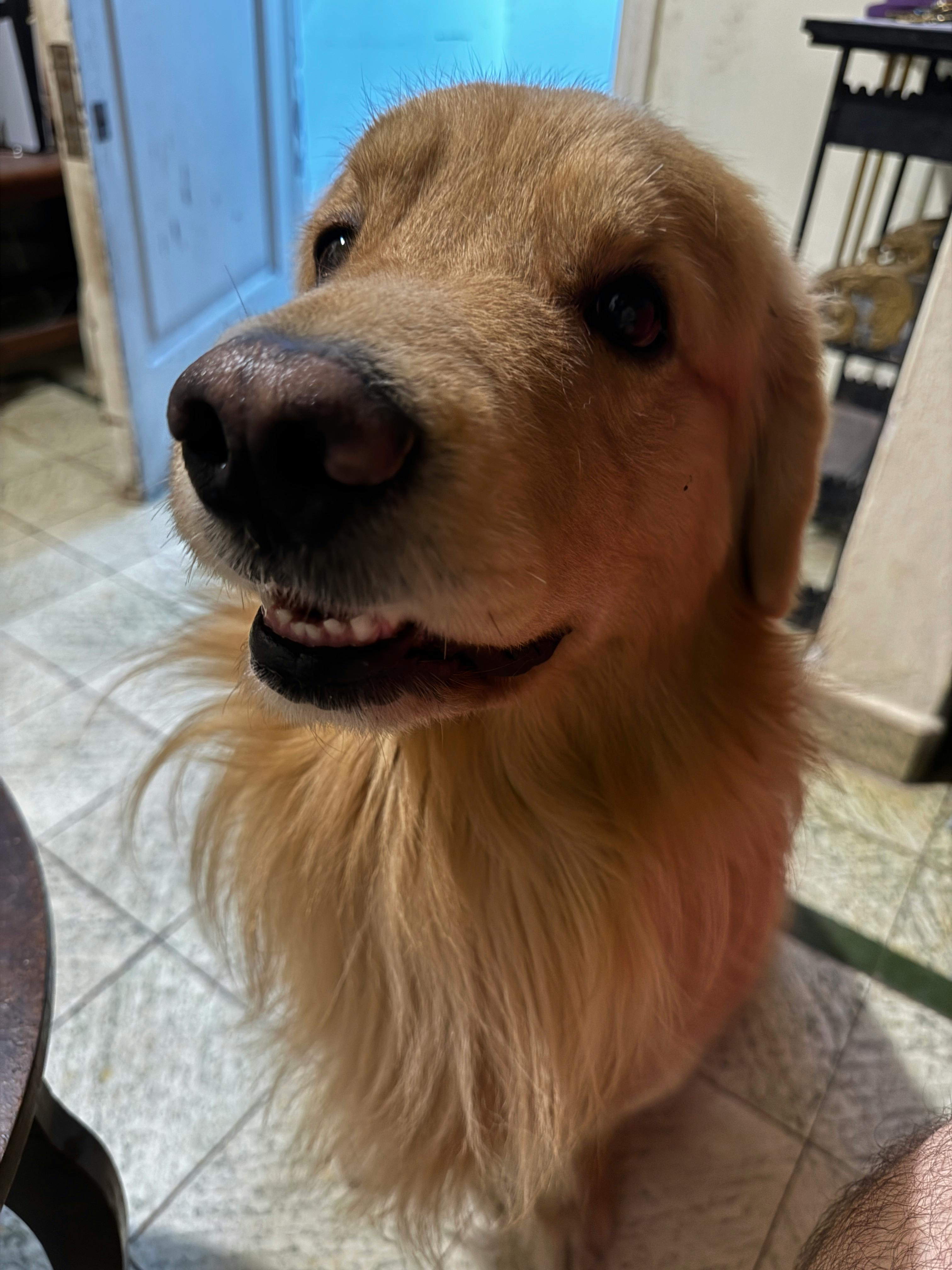 user avatar image for ValoranArg