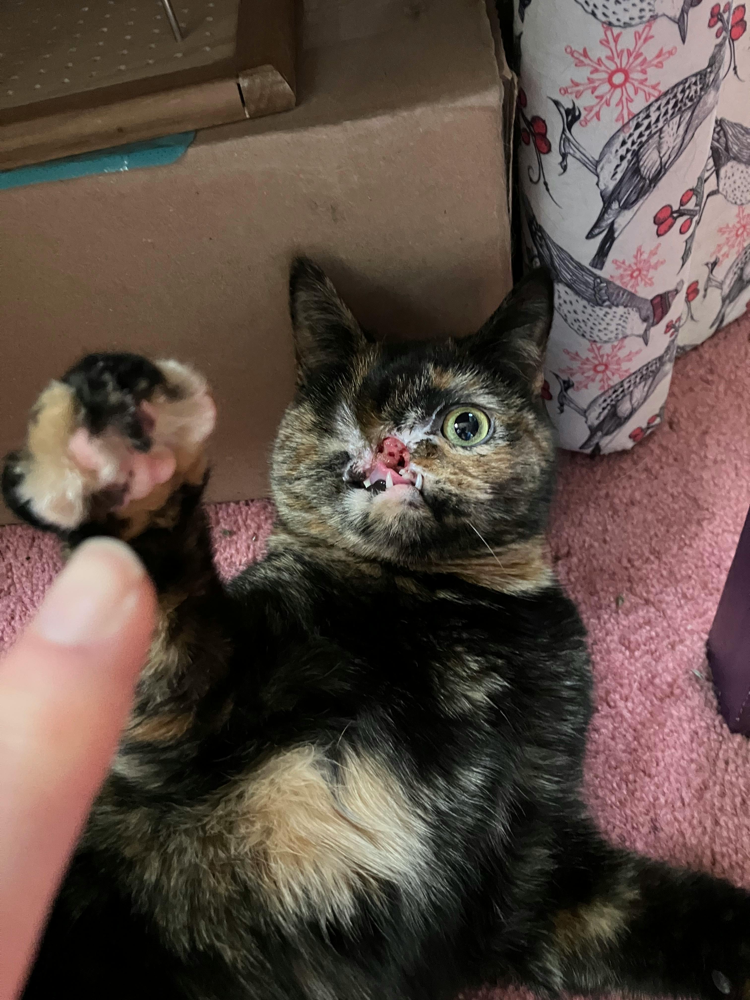 user avatar image for nmk