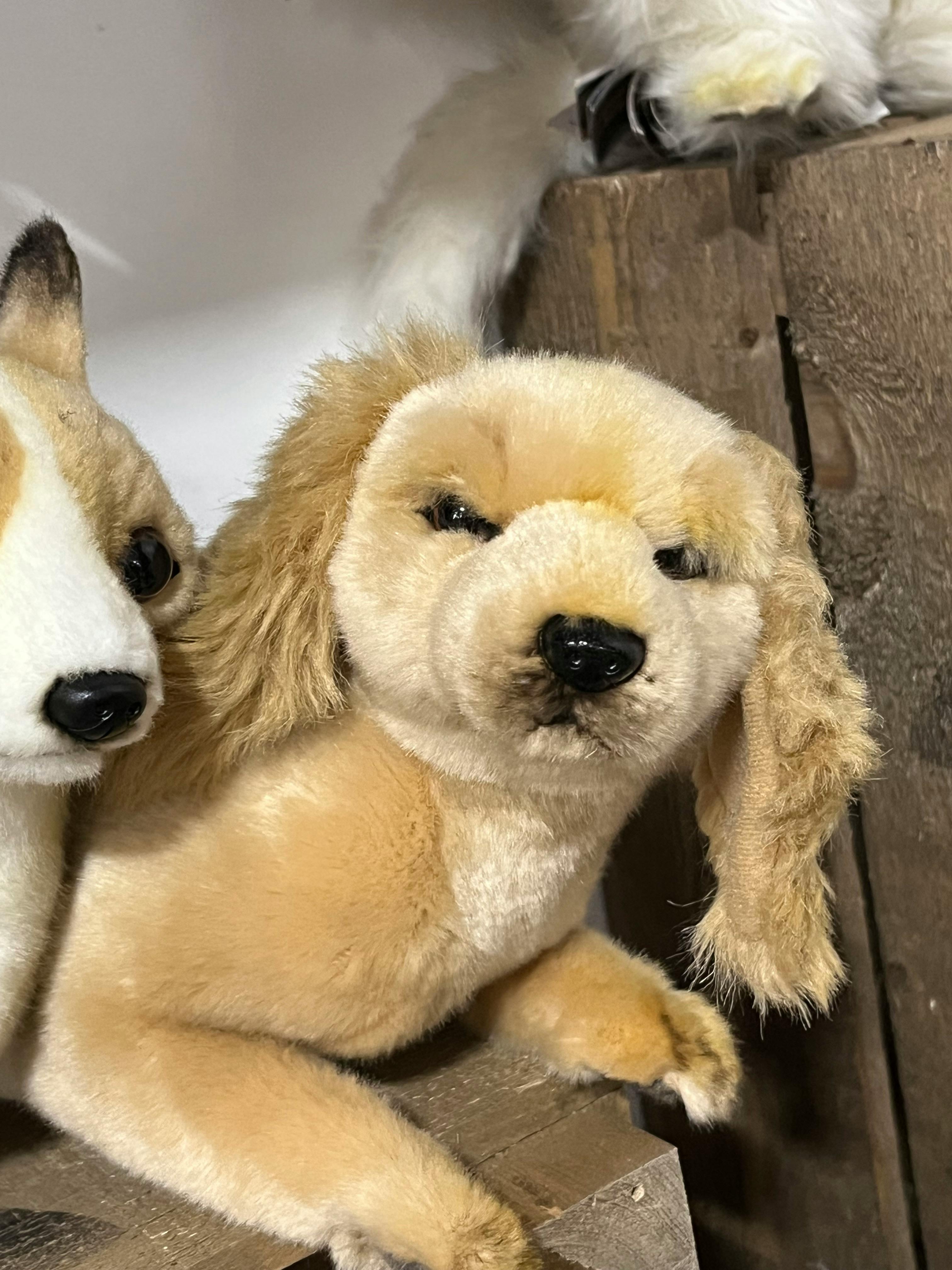 user avatar image for Andy Woodhouse 