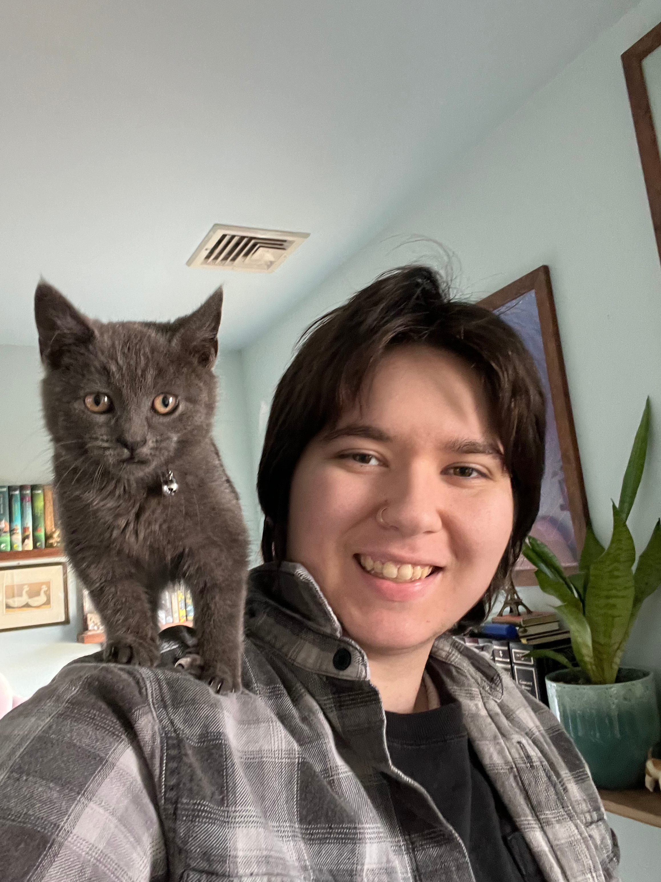 user avatar image for Alexander Raven