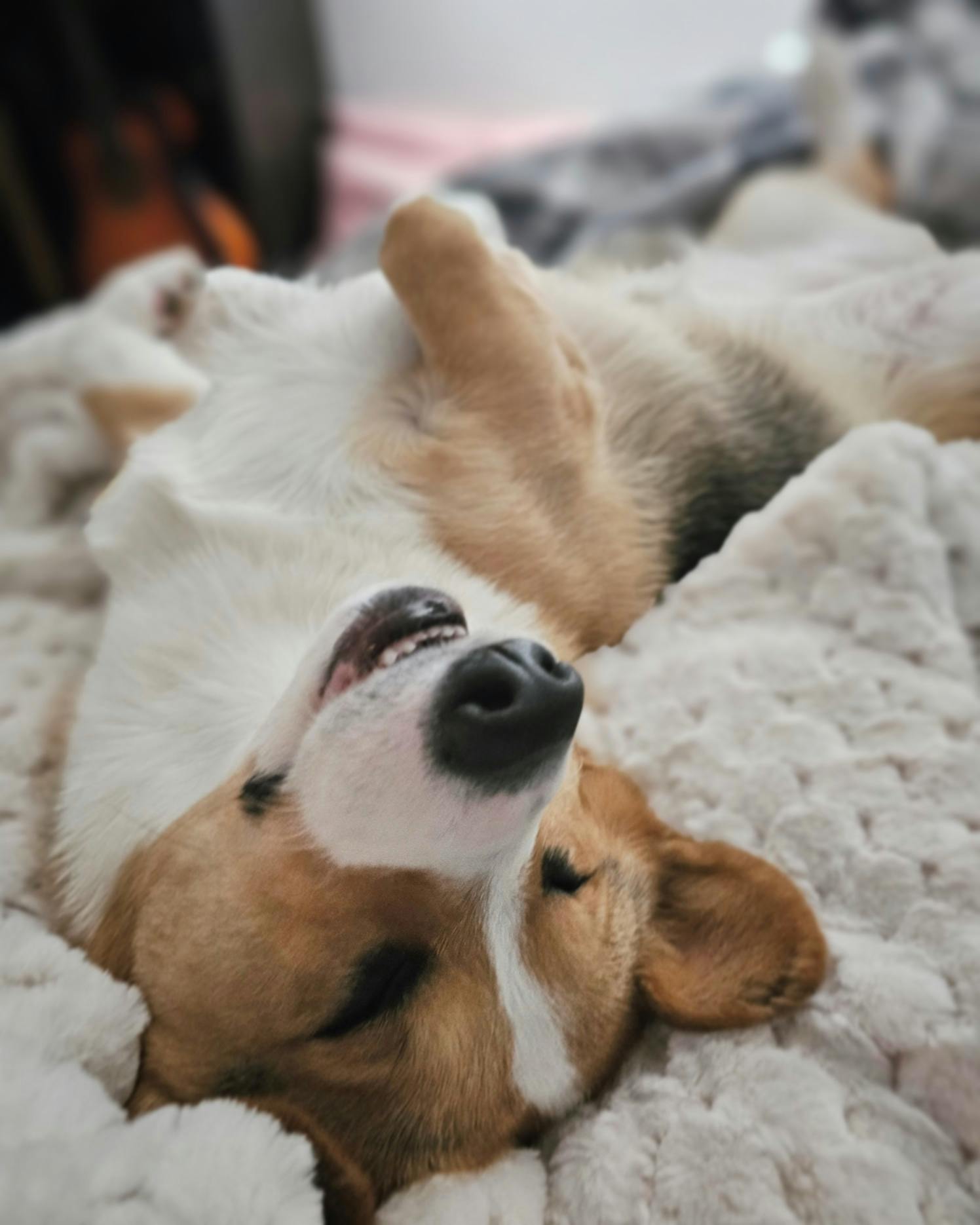 user avatar image for Emily B