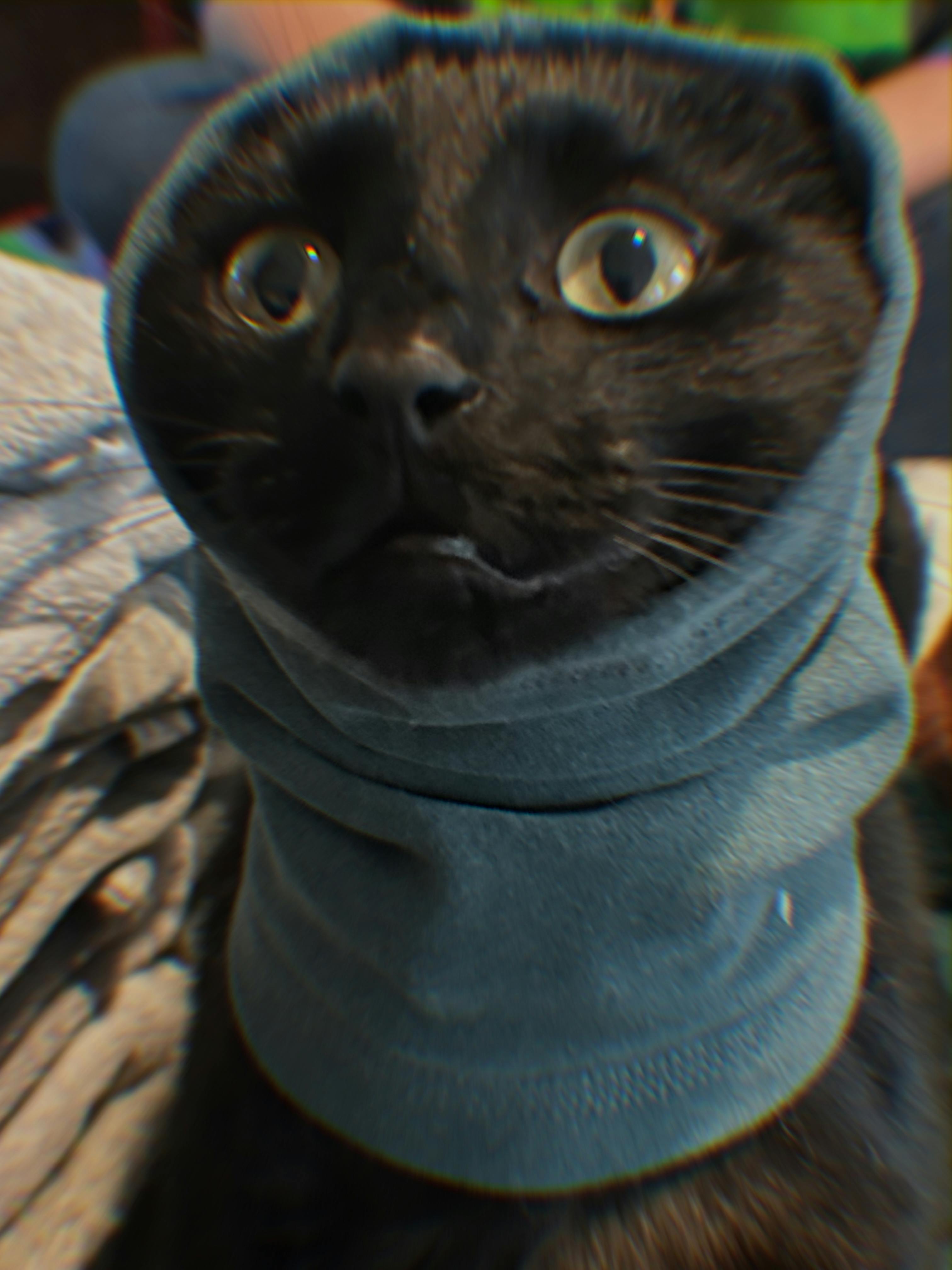 user avatar image for Kathryne Hanks