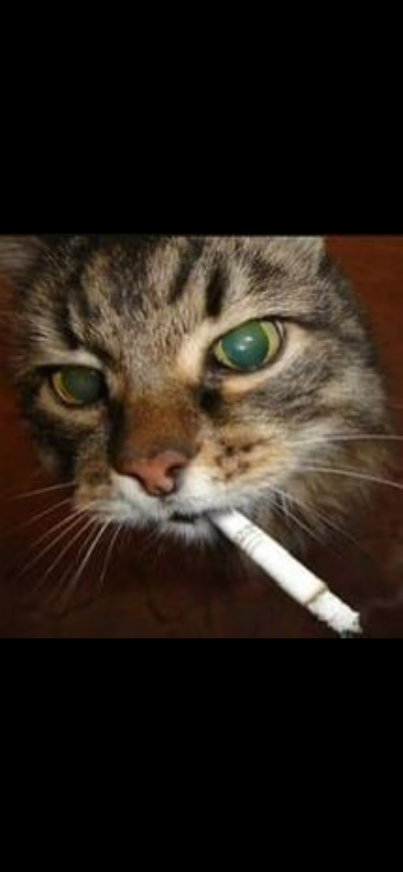 user avatar image for Batnimbus 