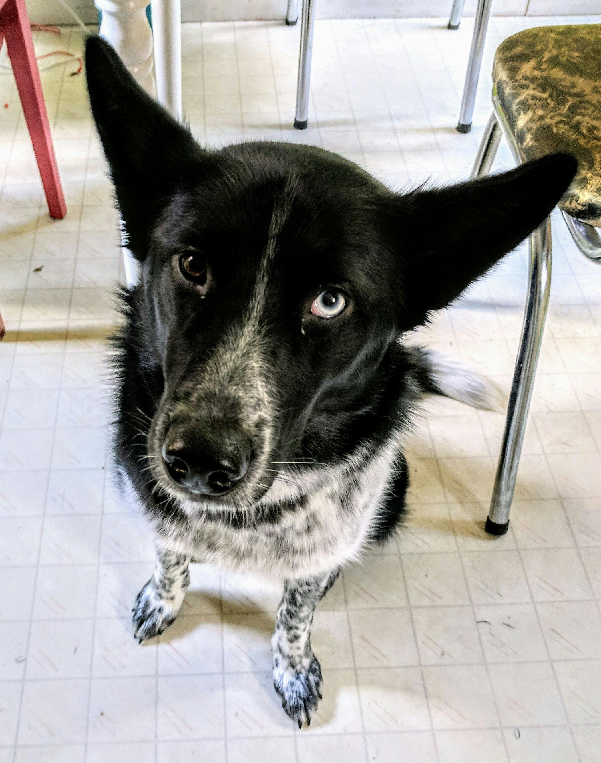 user avatar image for Todd Hennessey