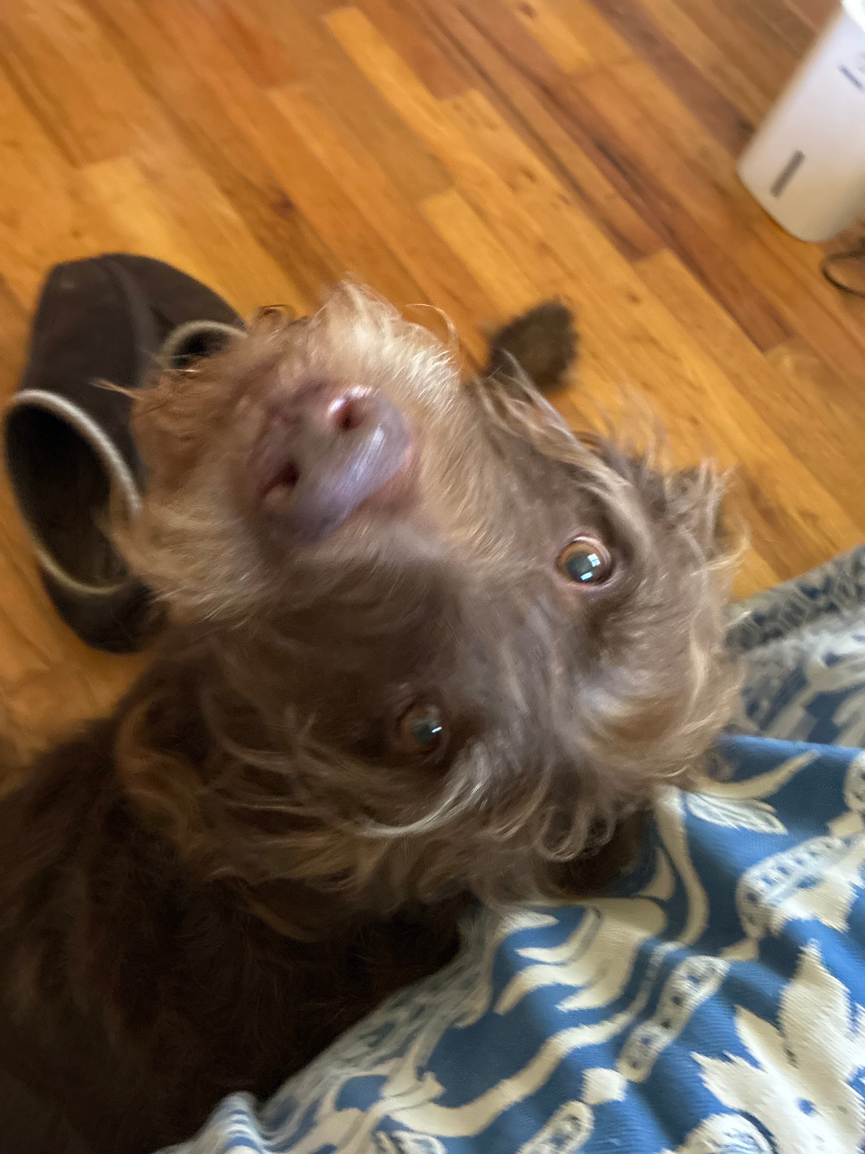 user avatar image for Kyle Gruber 