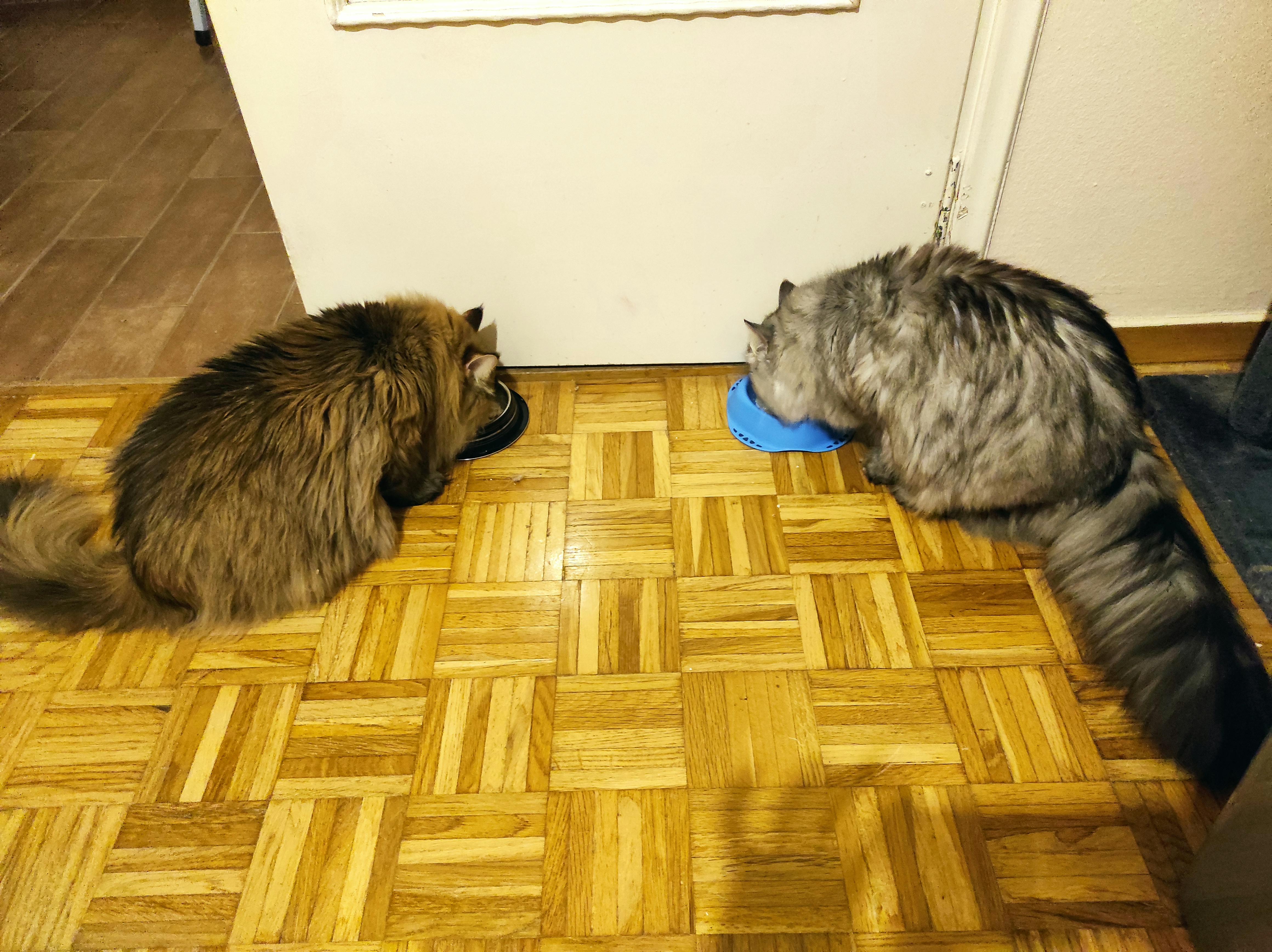 user avatar image for Amaryllis Nydrioti