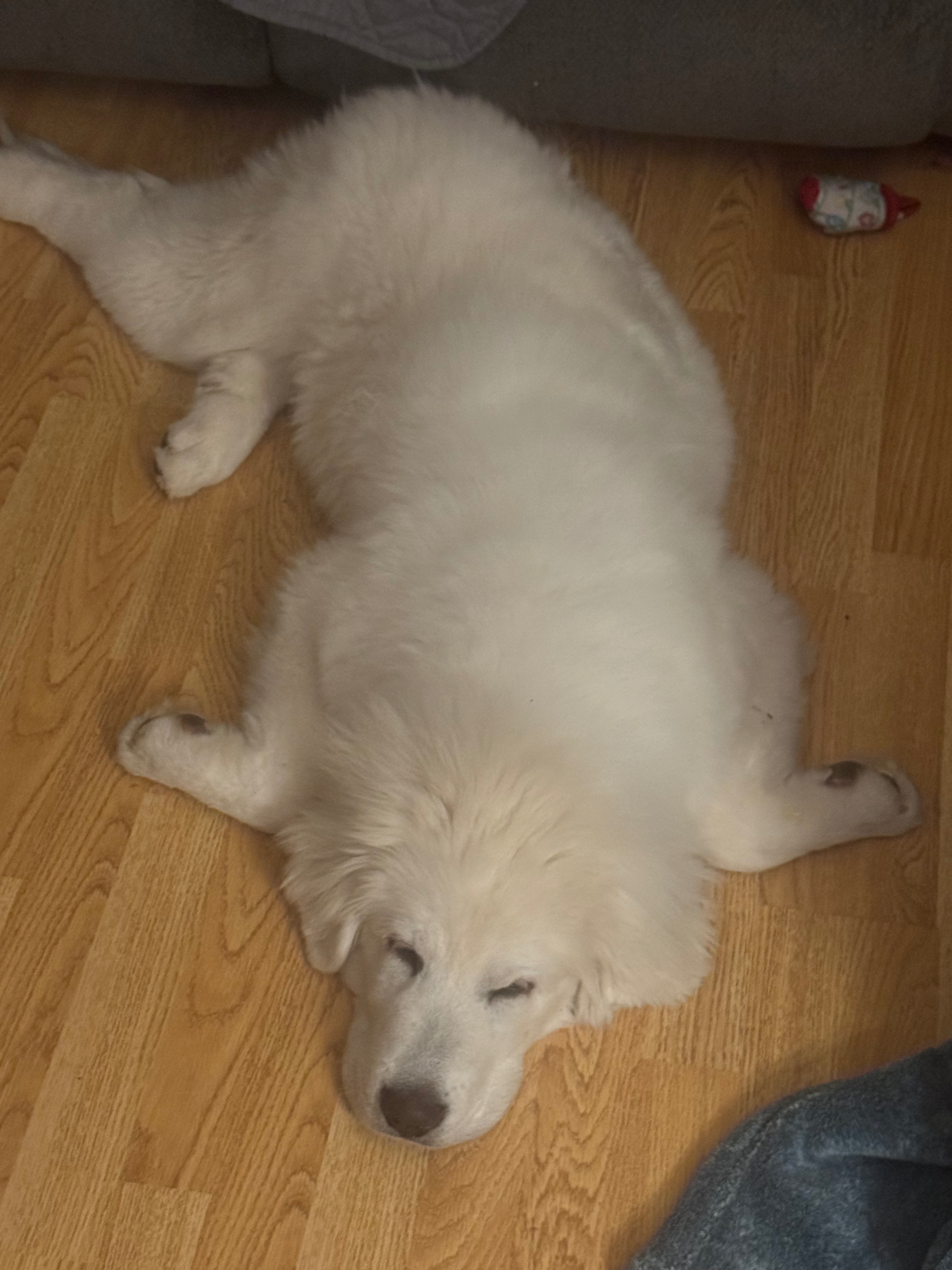 user avatar image for Brady Burr