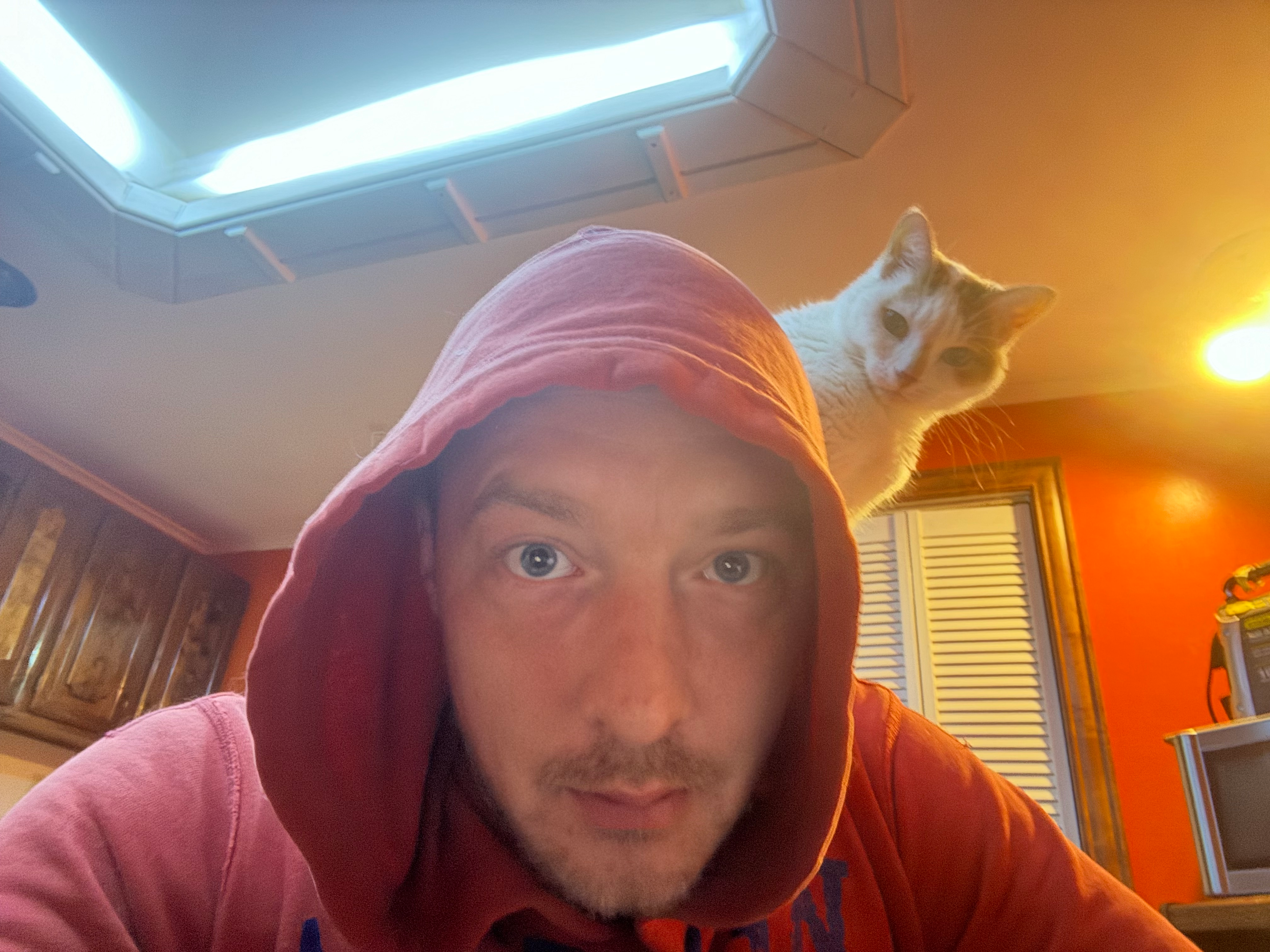 user avatar image for Brandon Michalski