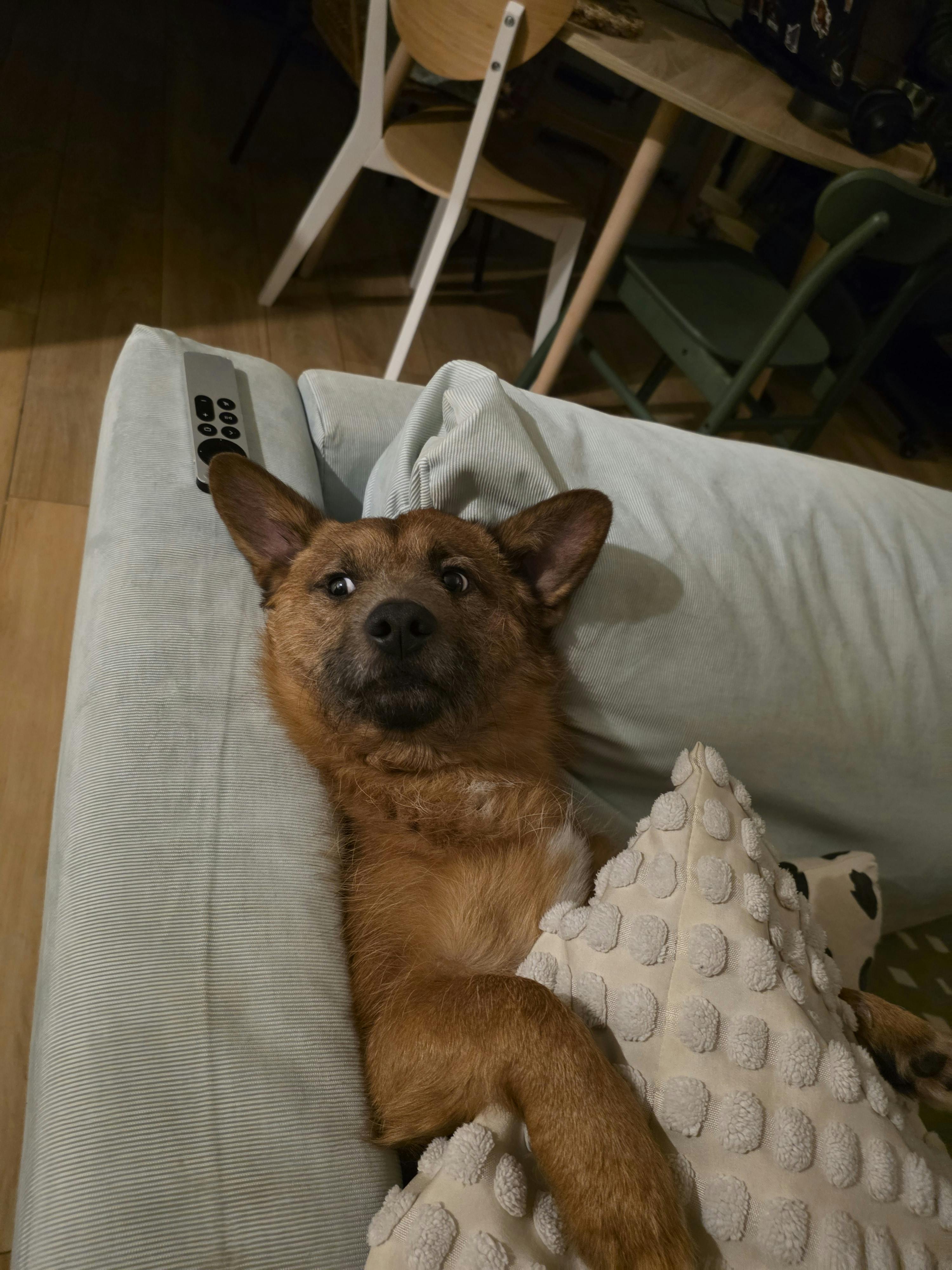 user avatar image for Glass Cannon Unplugged 