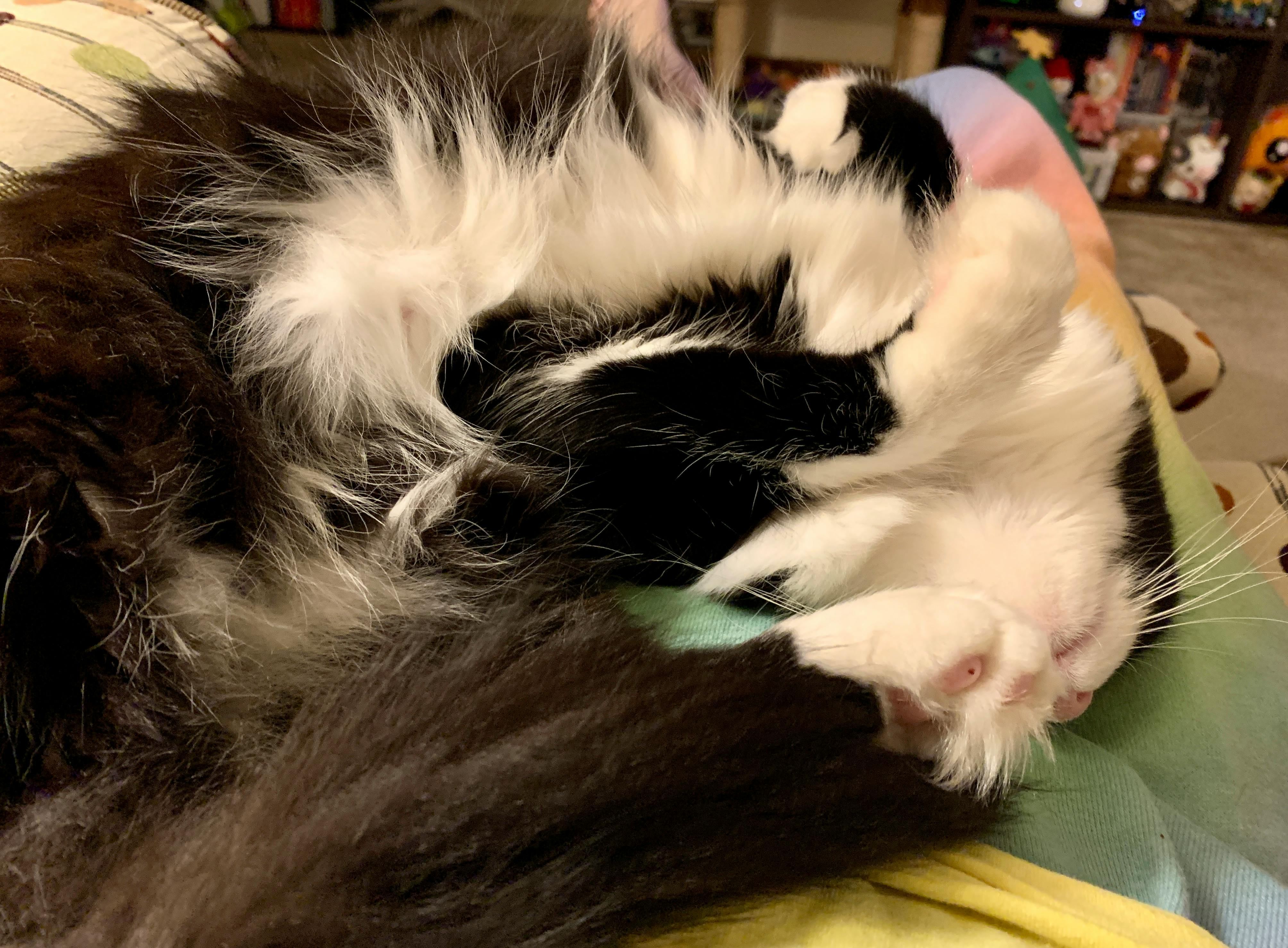 user avatar image for Denise B.