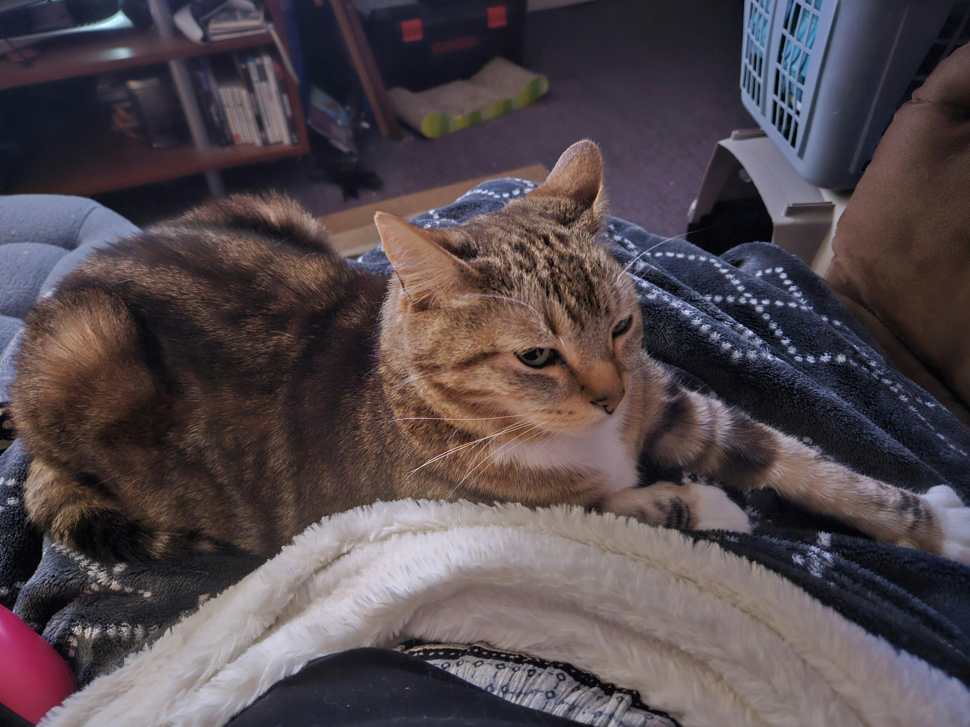 user avatar image for Leah Rhoads