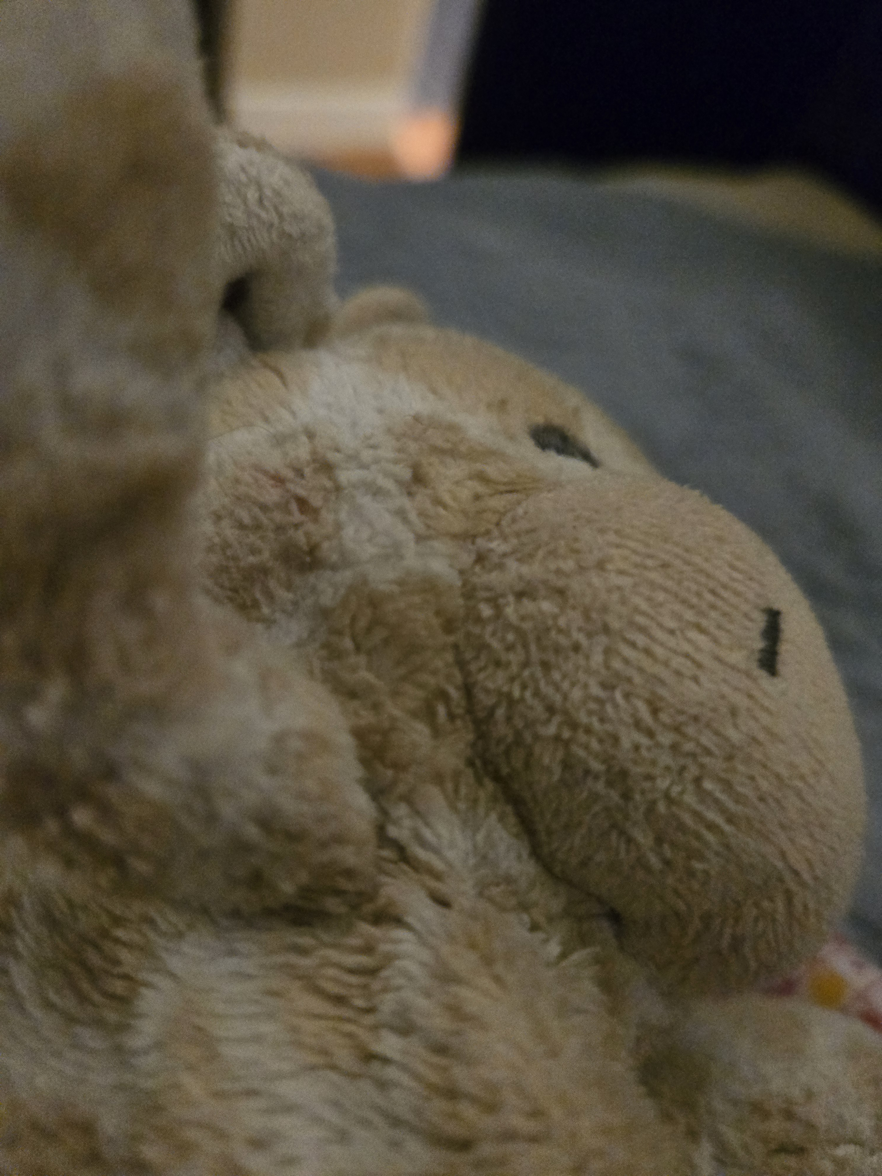 user avatar image for Steven