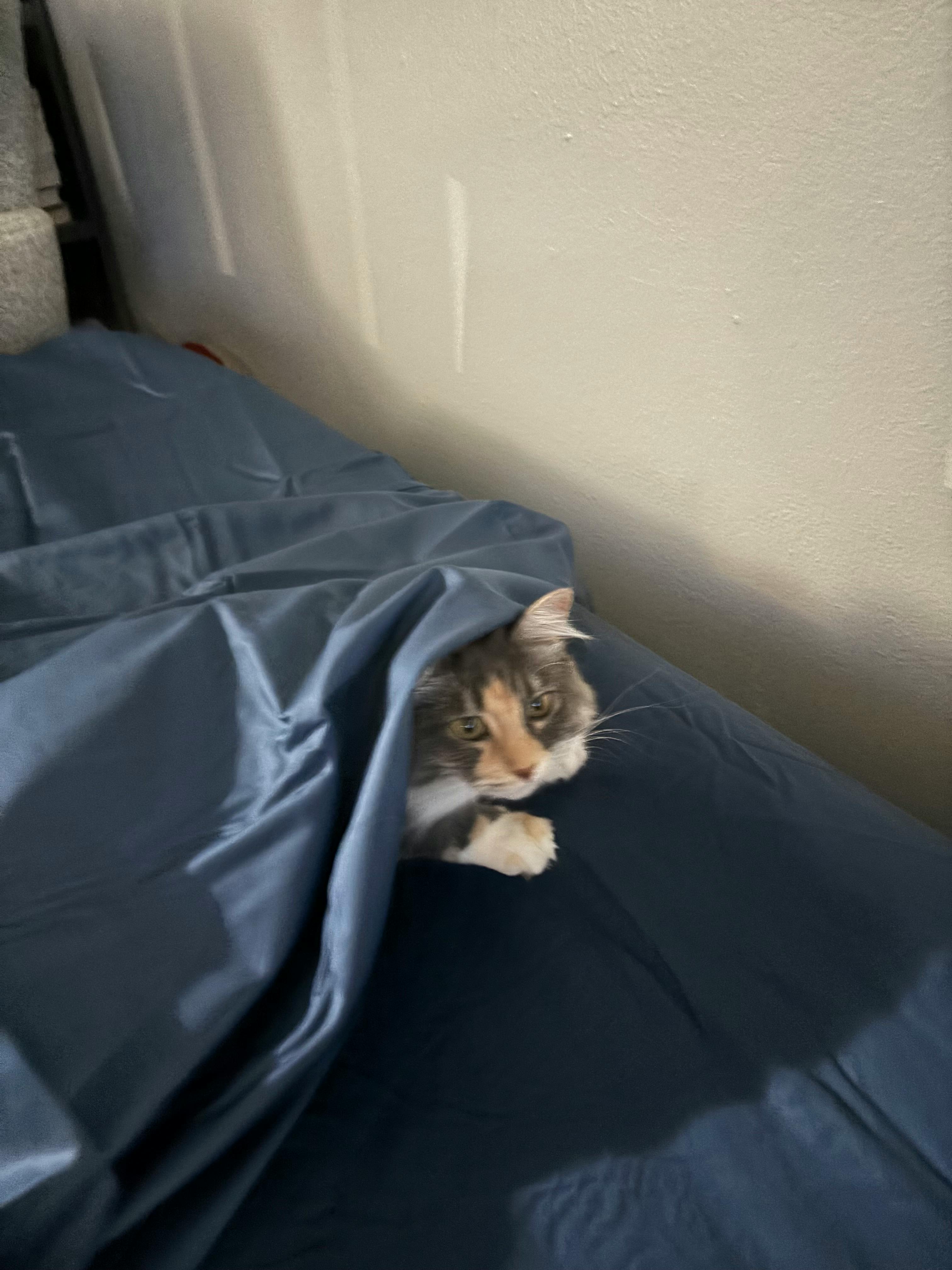 user avatar image for Ted