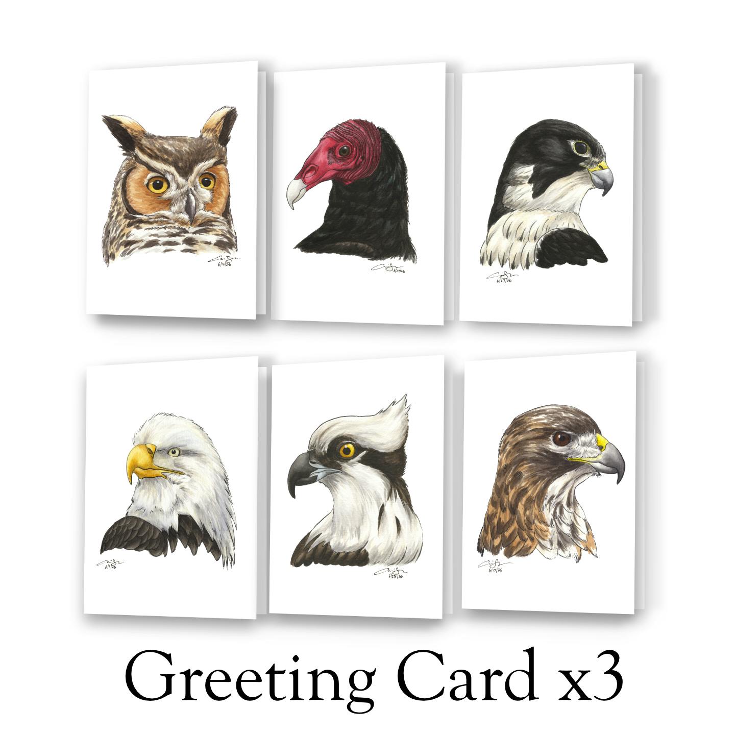 Three Raptor Greeting Cards