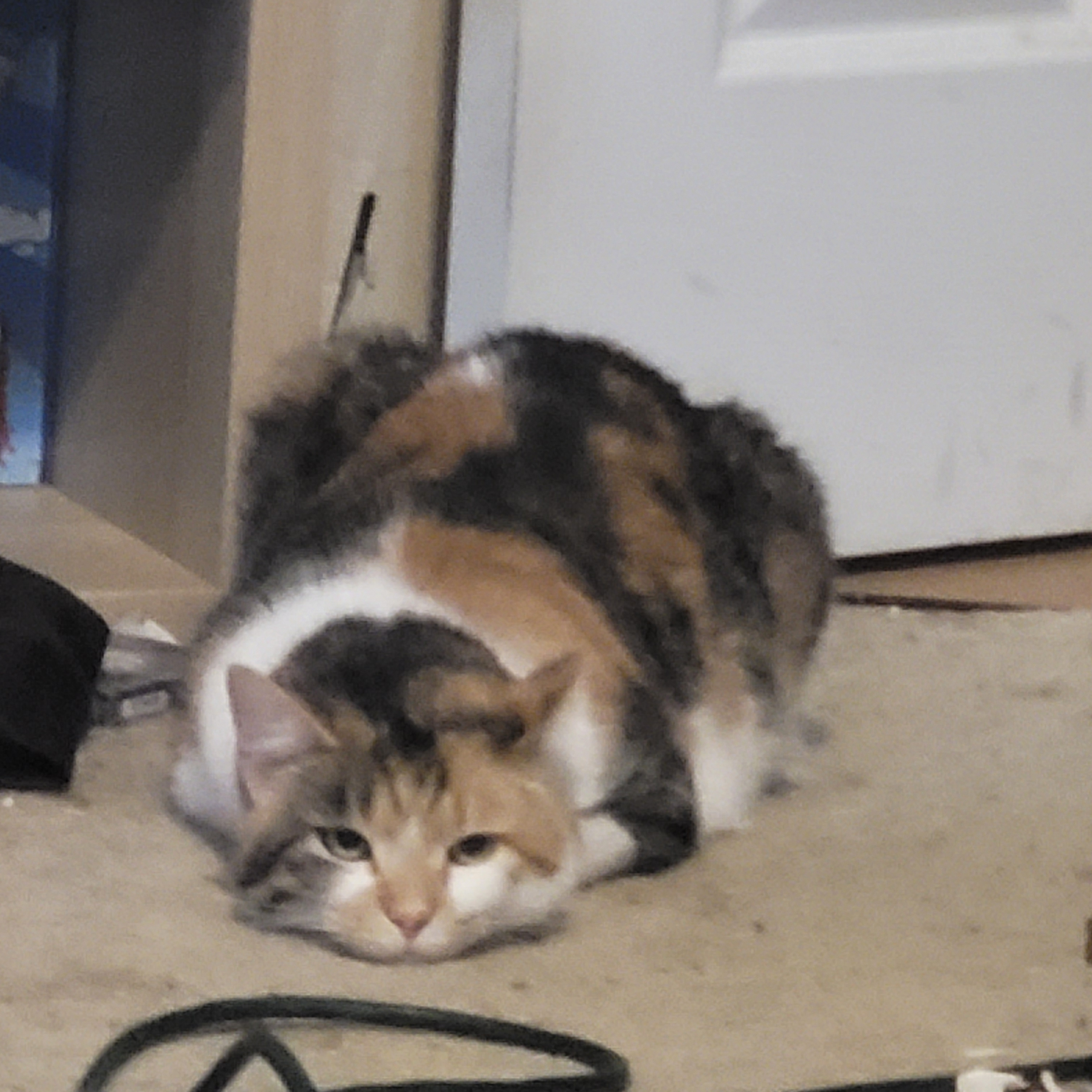 user avatar image for Jeremy Hannna