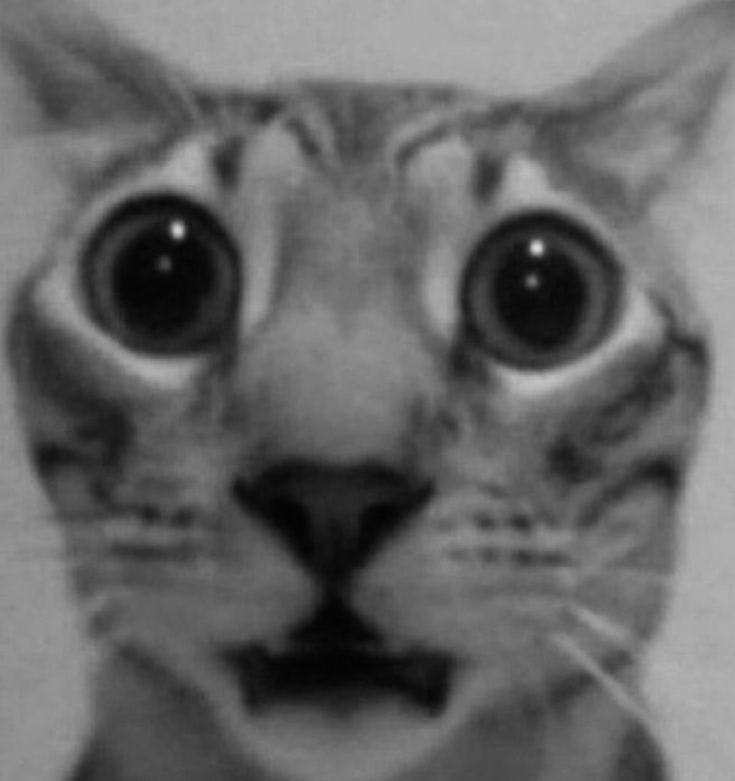 user avatar image for Kc