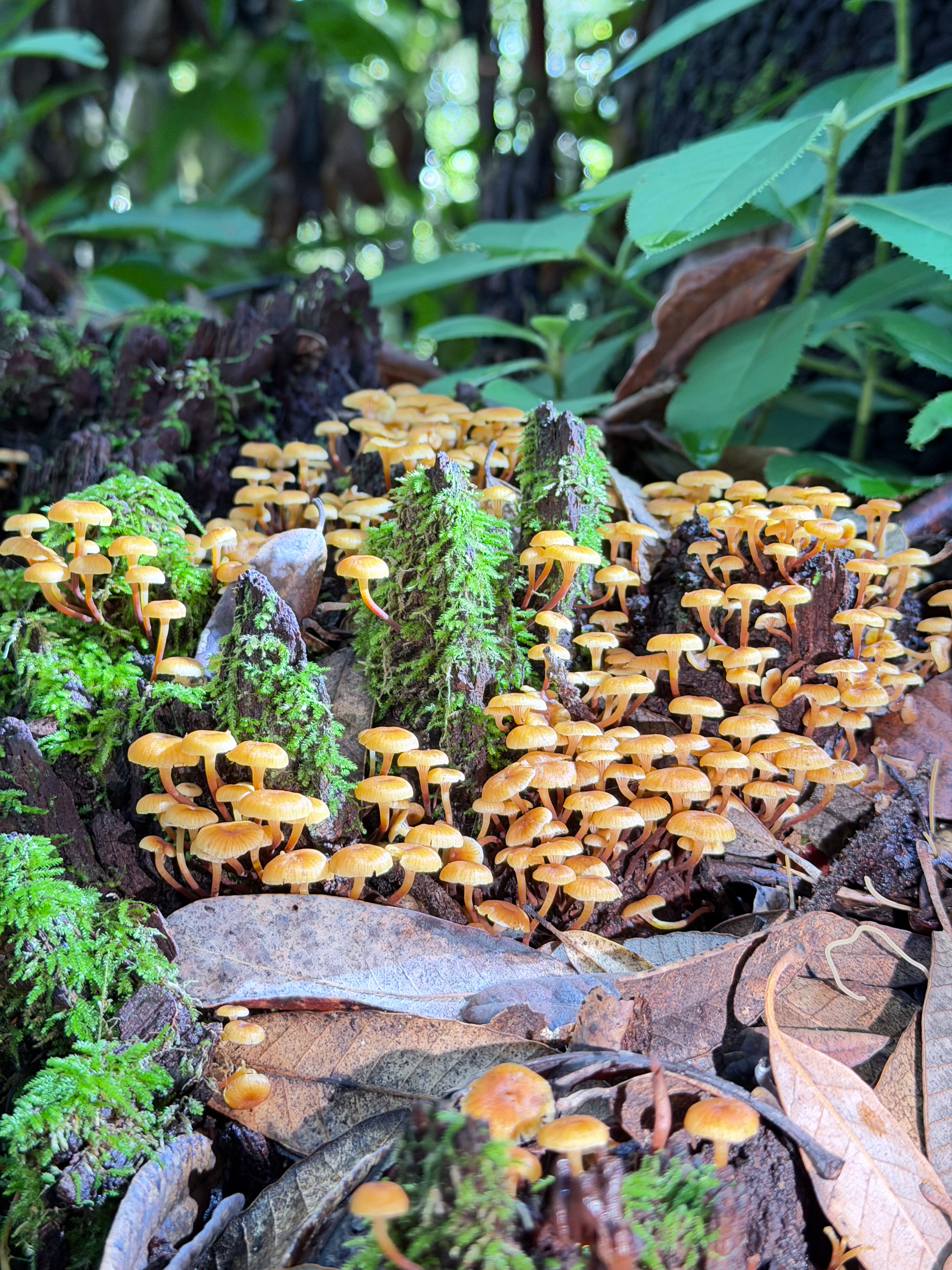 user avatar image for Hedgy