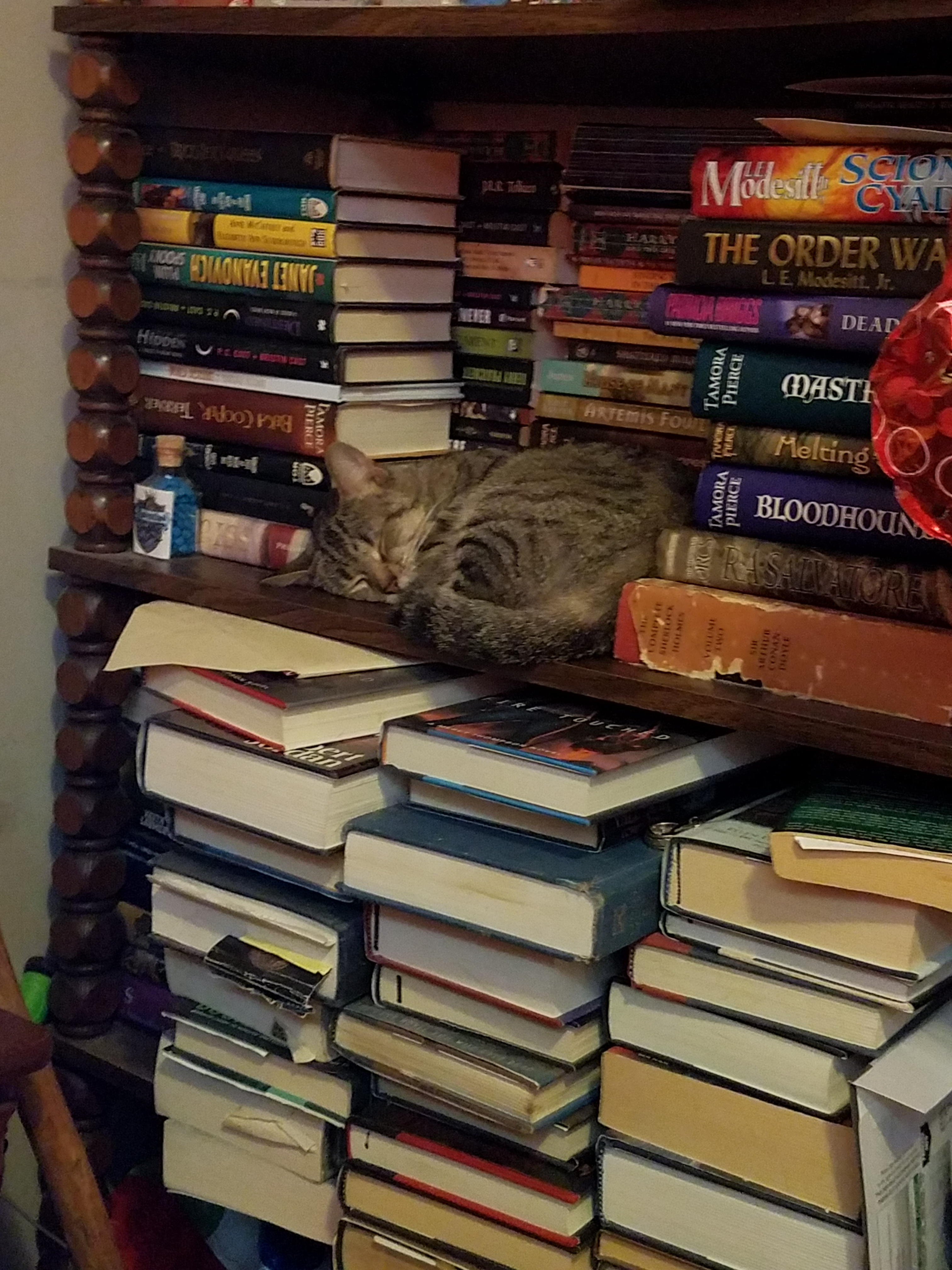 user avatar image for Betsy Pickering