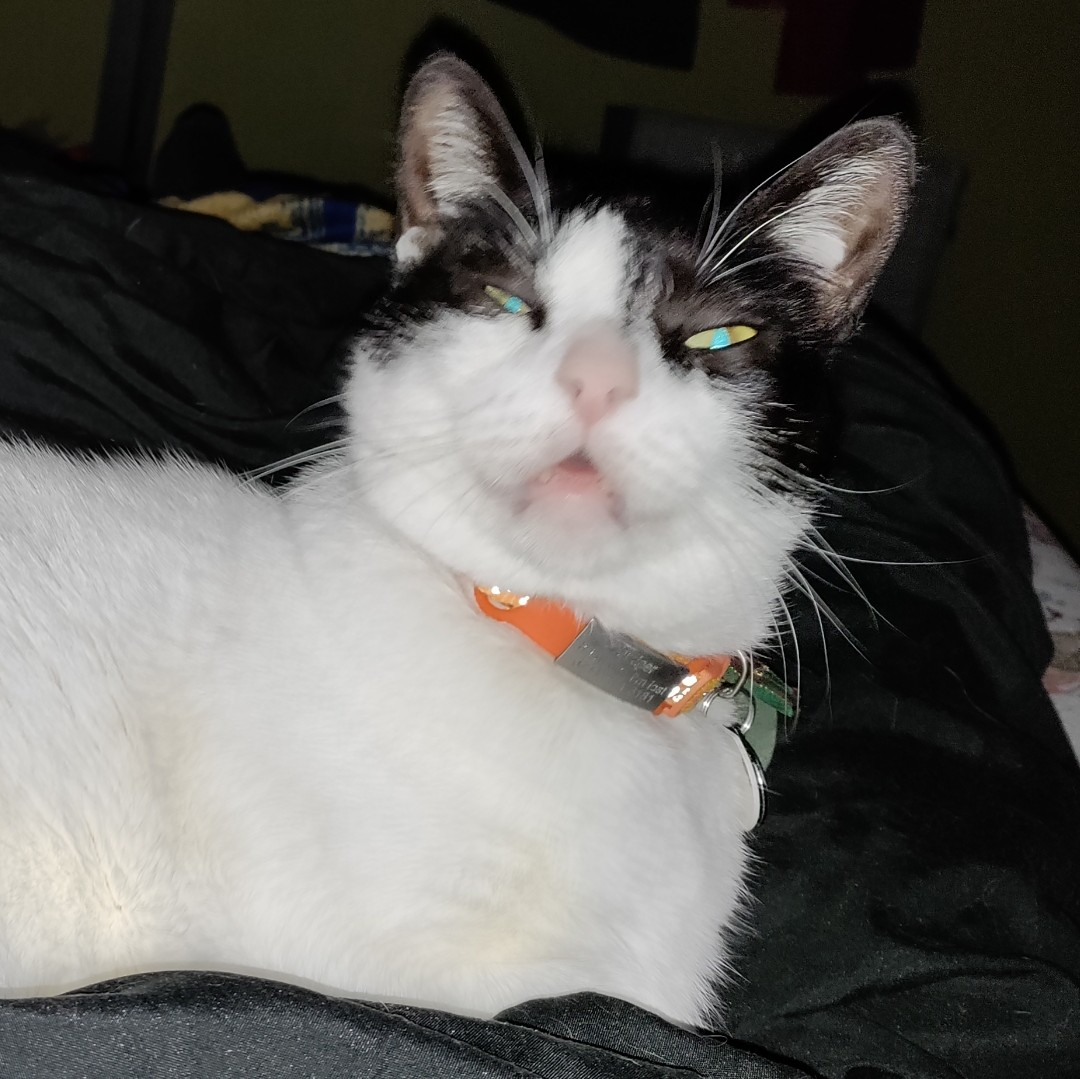 user avatar image for Bwenan