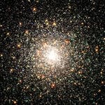 user avatar image for Nicki White