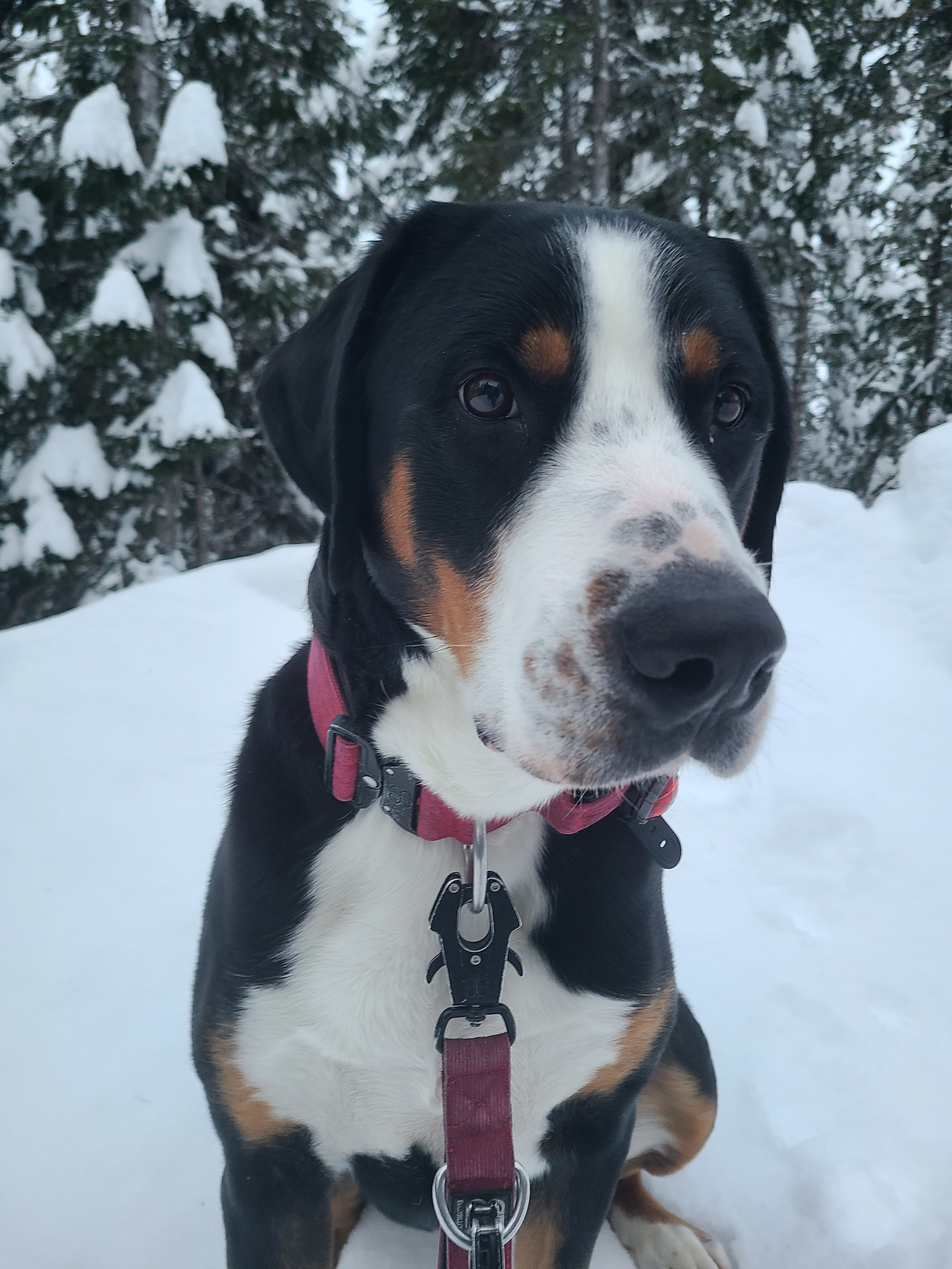 user avatar image for Eosa