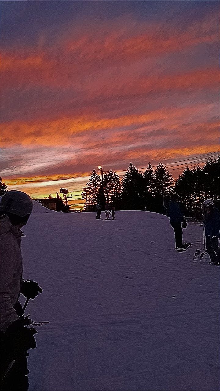 user avatar image for Marlee Boyle