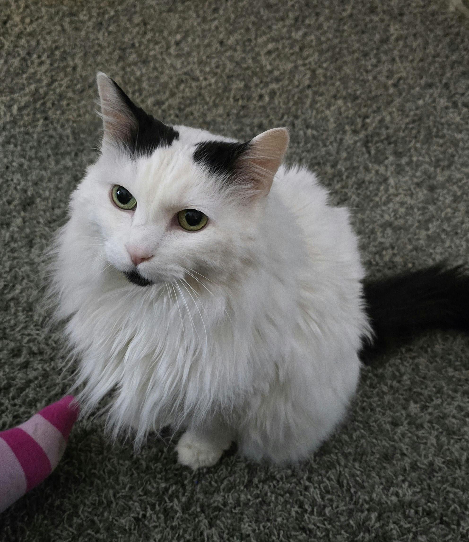 user avatar image for Stephanie Martin