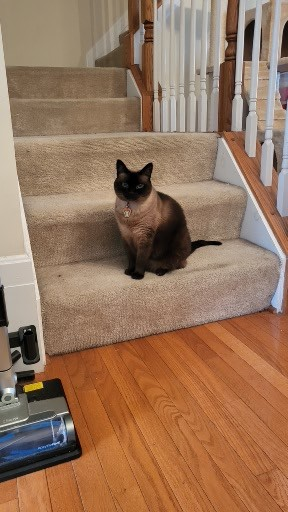 user avatar image for Irene Matthaei