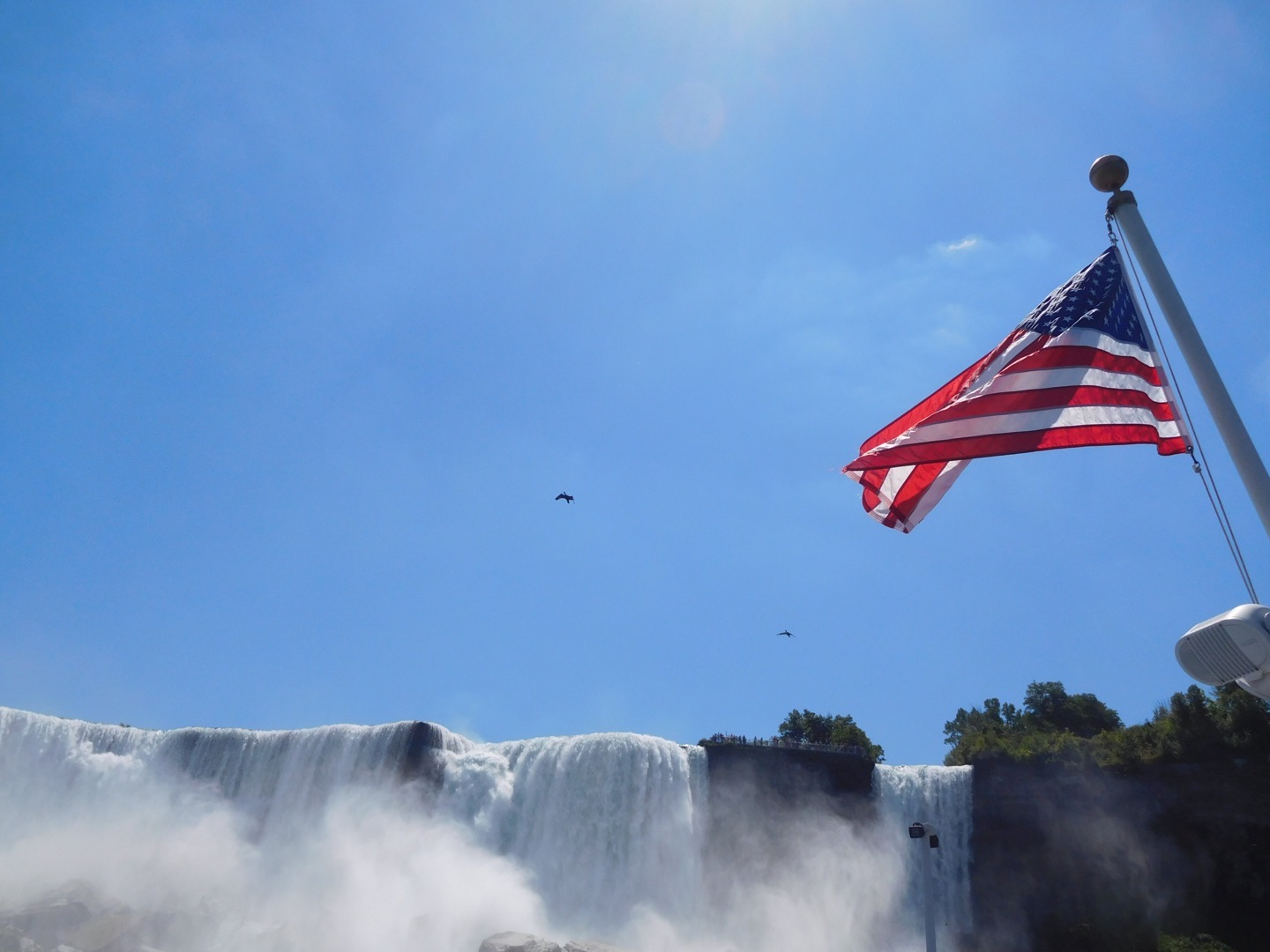 user avatar image for Taylor