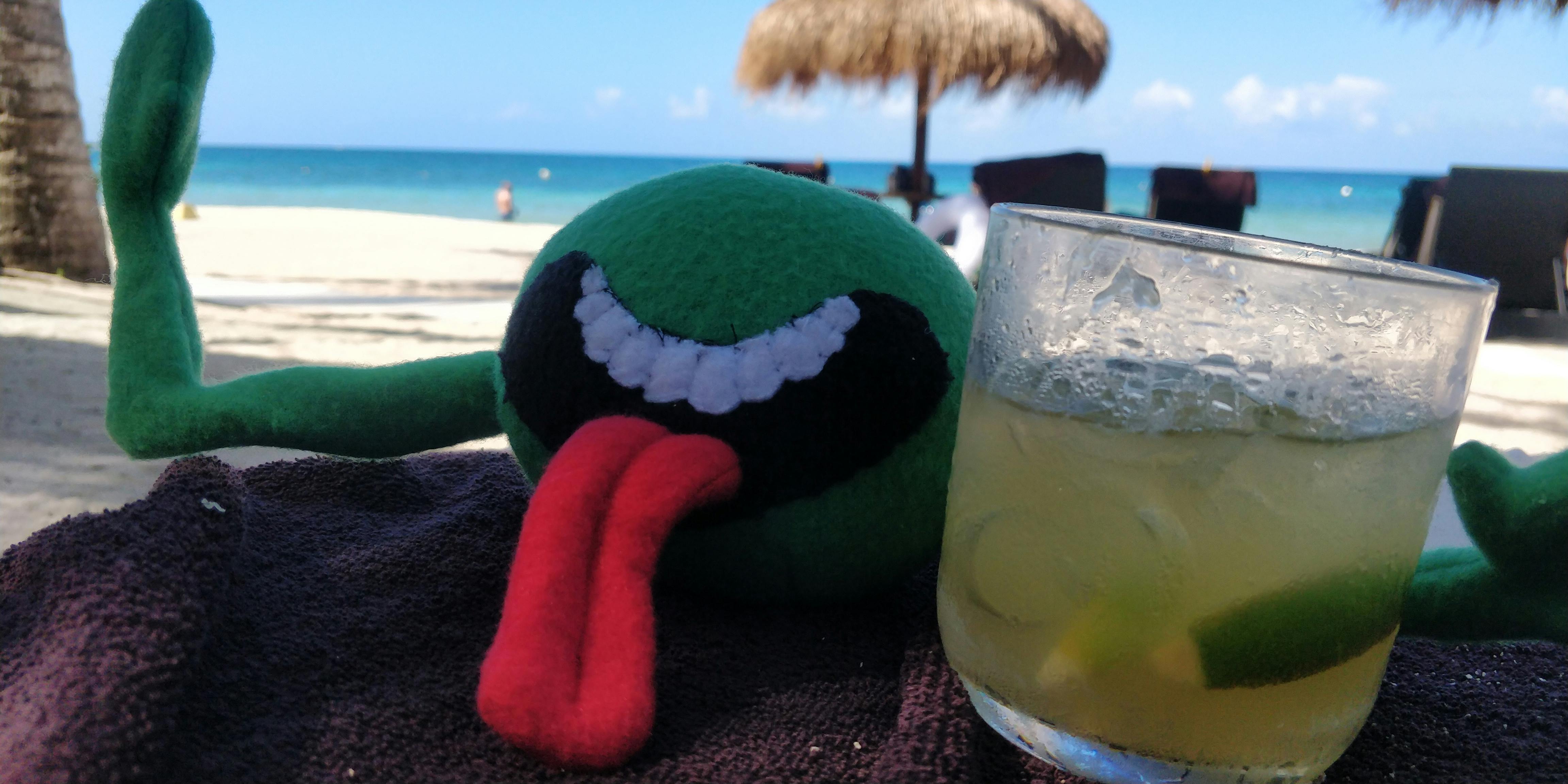 user avatar image for Zanna H. 