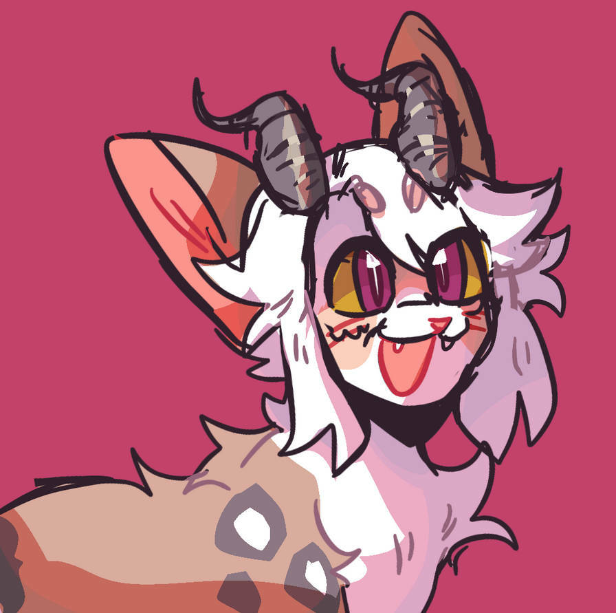 user avatar image for WolfRynx