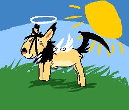 user avatar image for Halcyon