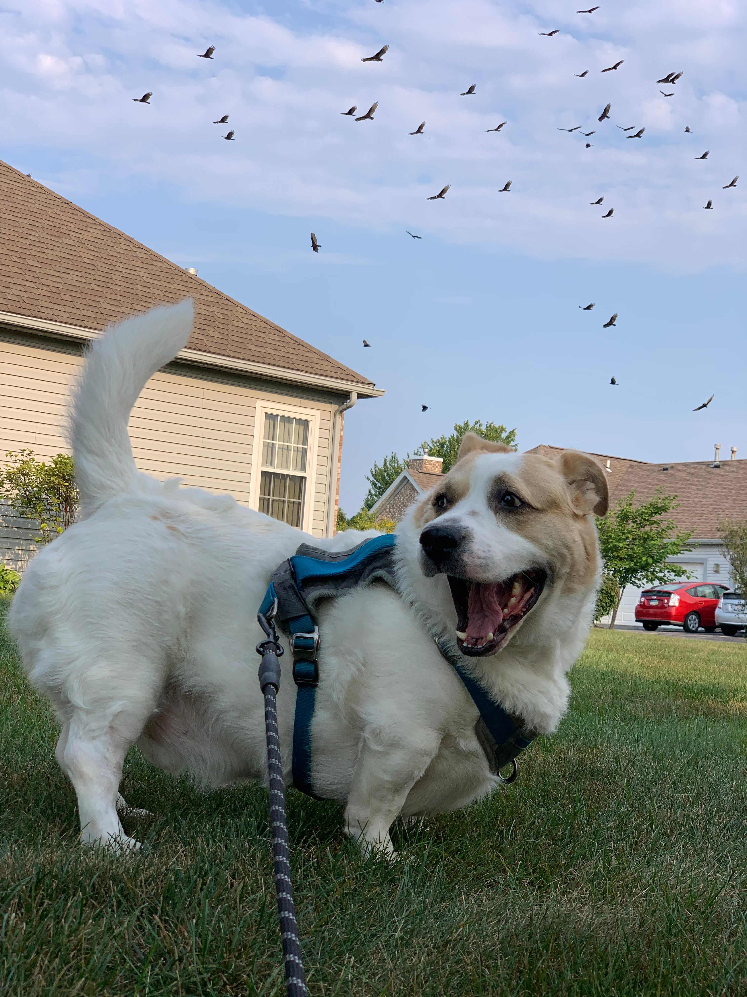 user avatar image for Donnie