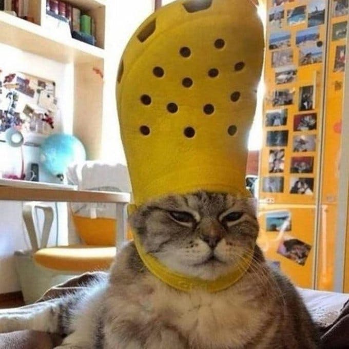 user avatar image for Solar_F