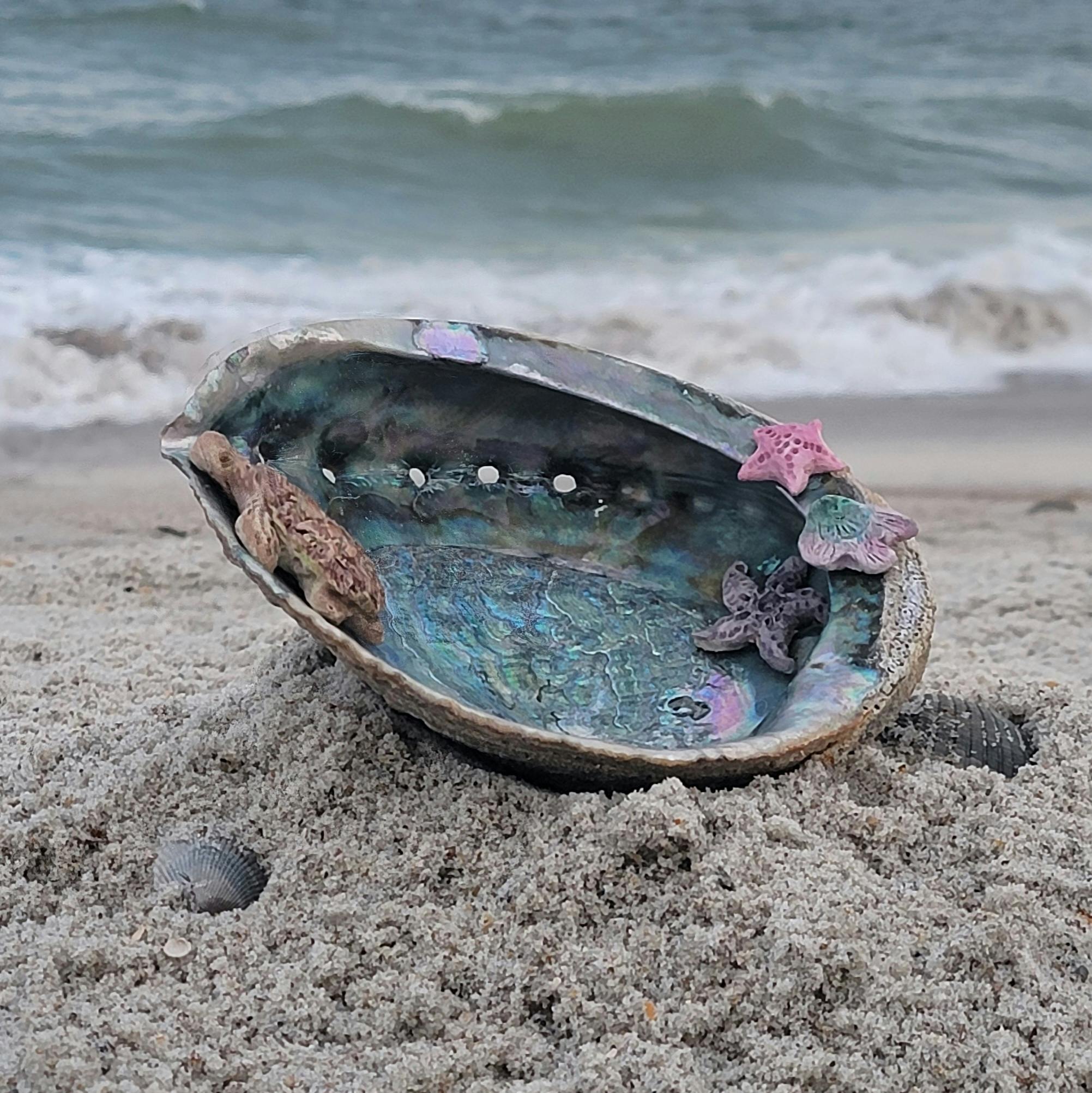Abalone Shell large turtle sculpture