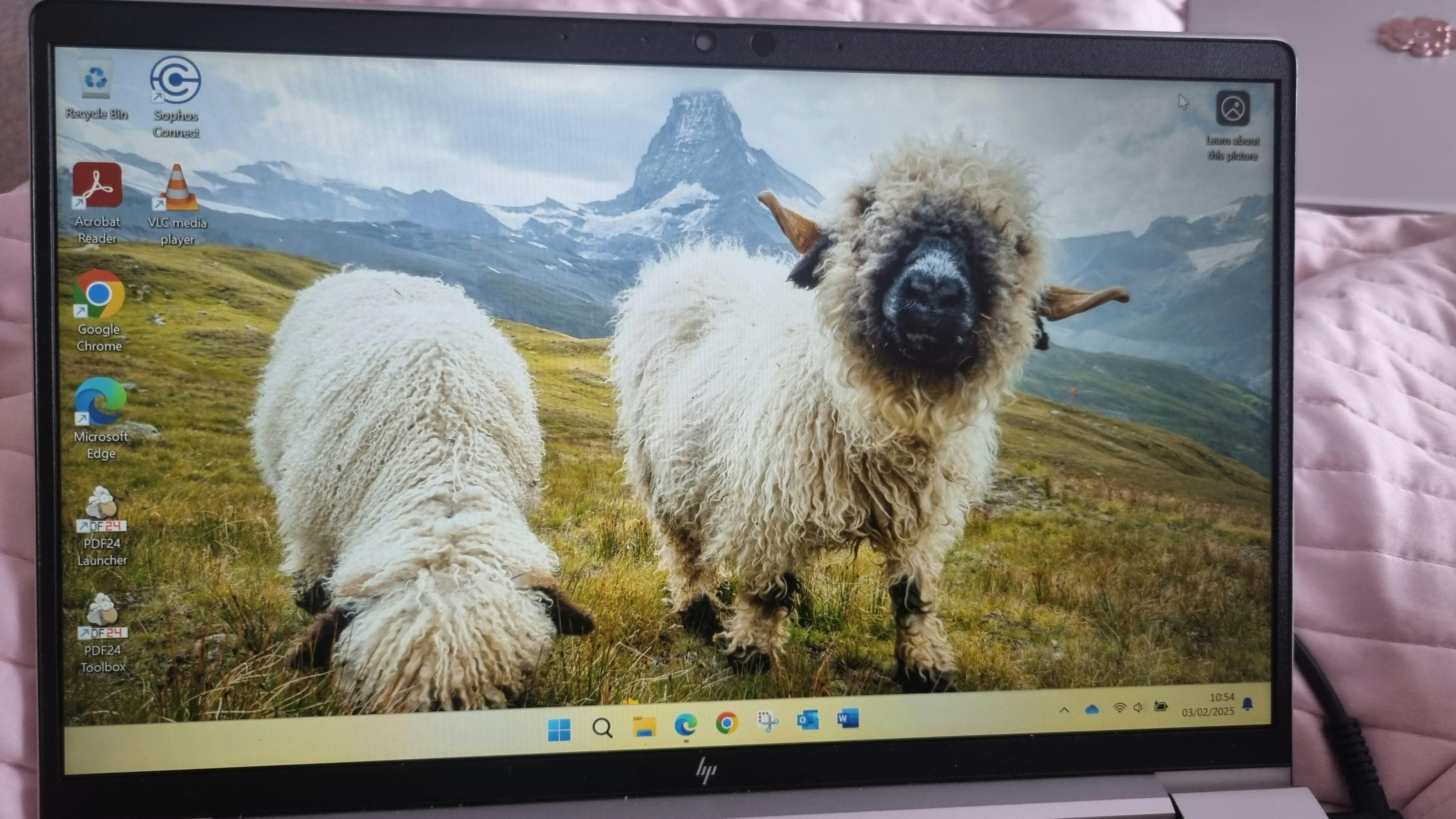 user avatar image for Necnill