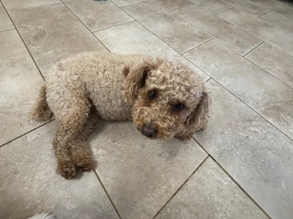 user avatar image for Tedor