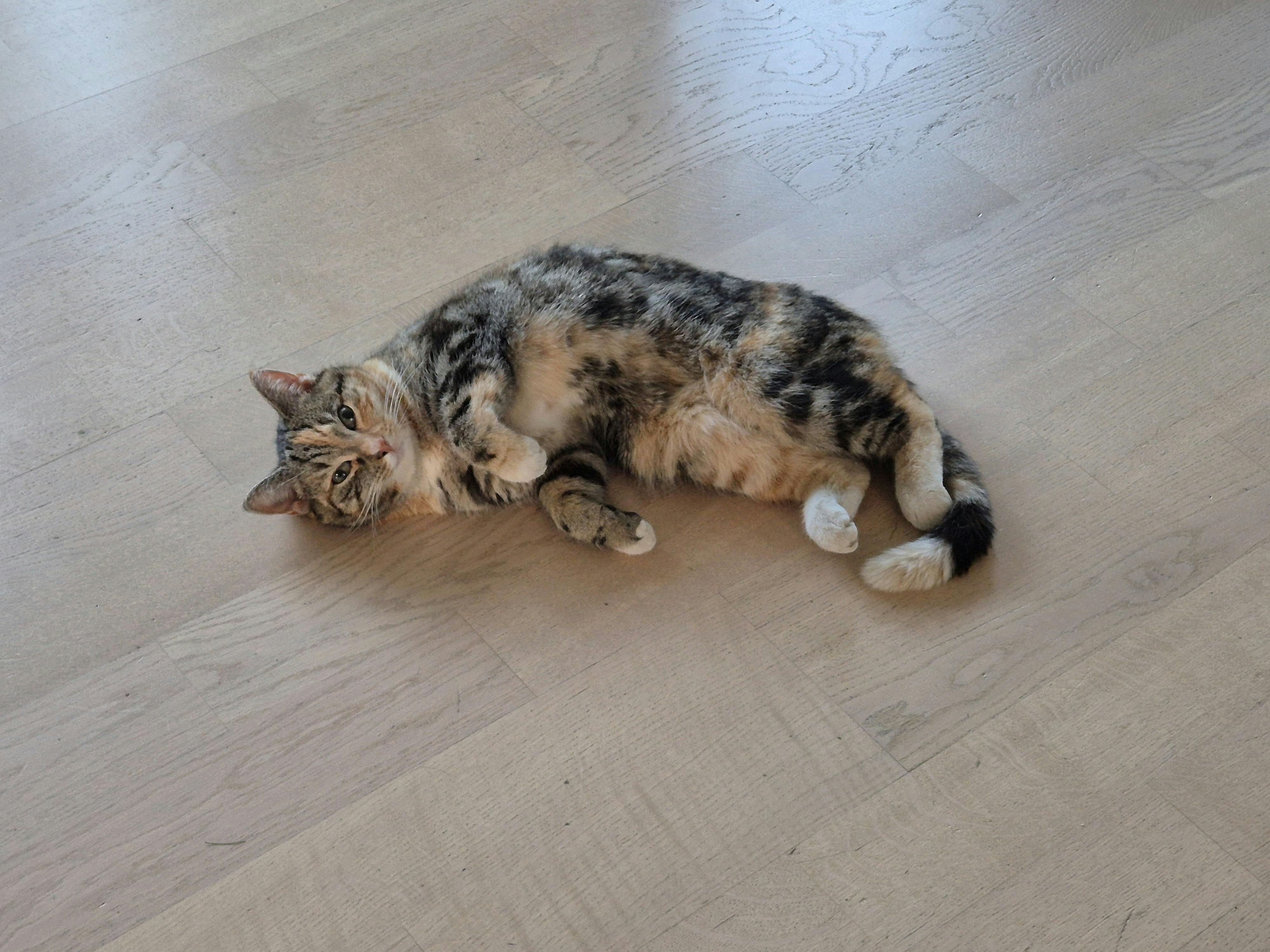 user avatar image for Morten H