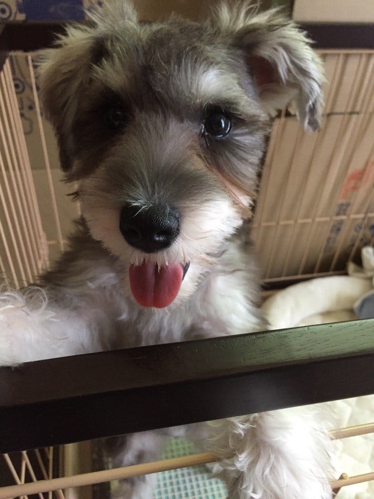 user avatar image for siduka_k