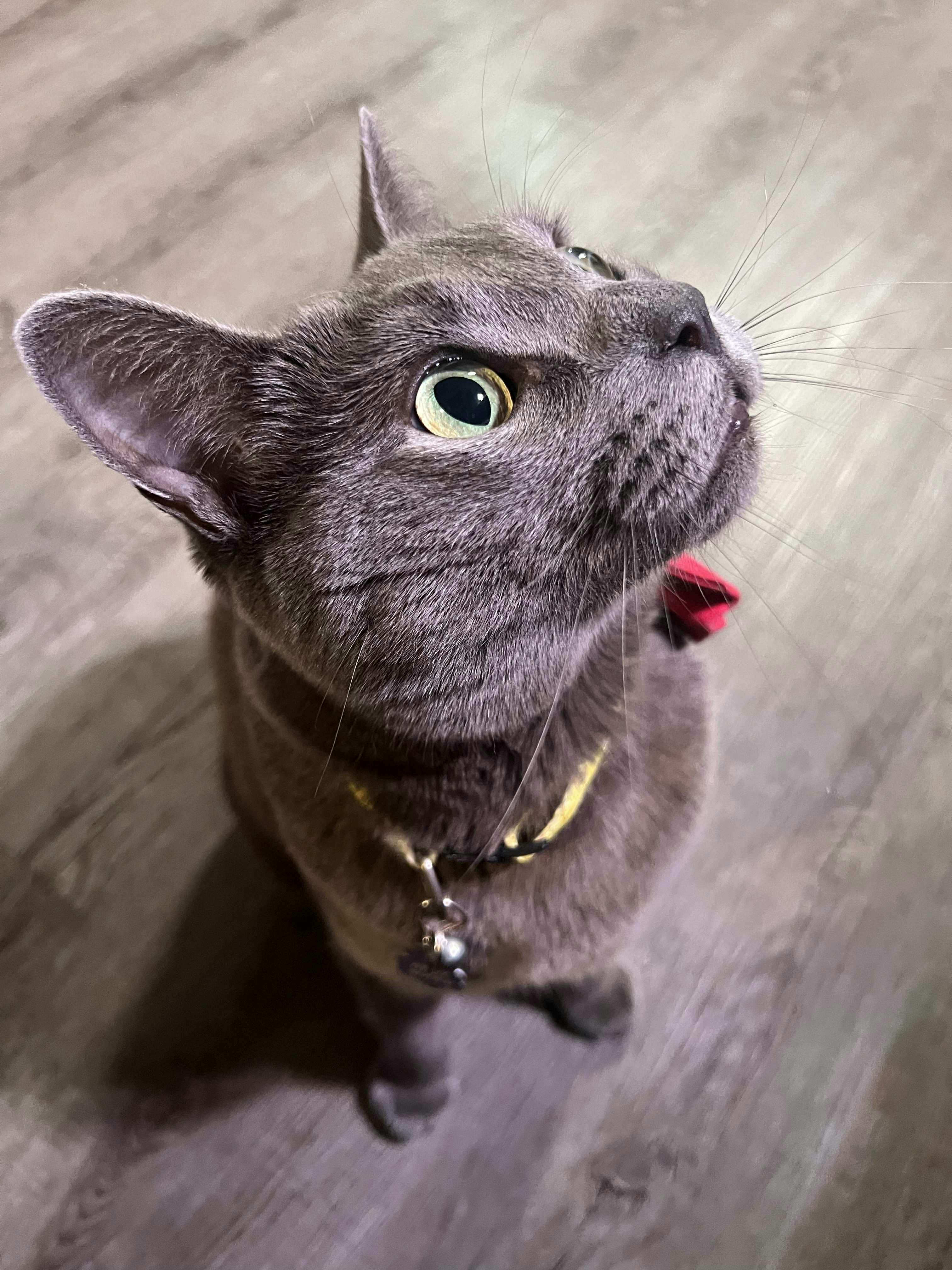 user avatar image for Sage