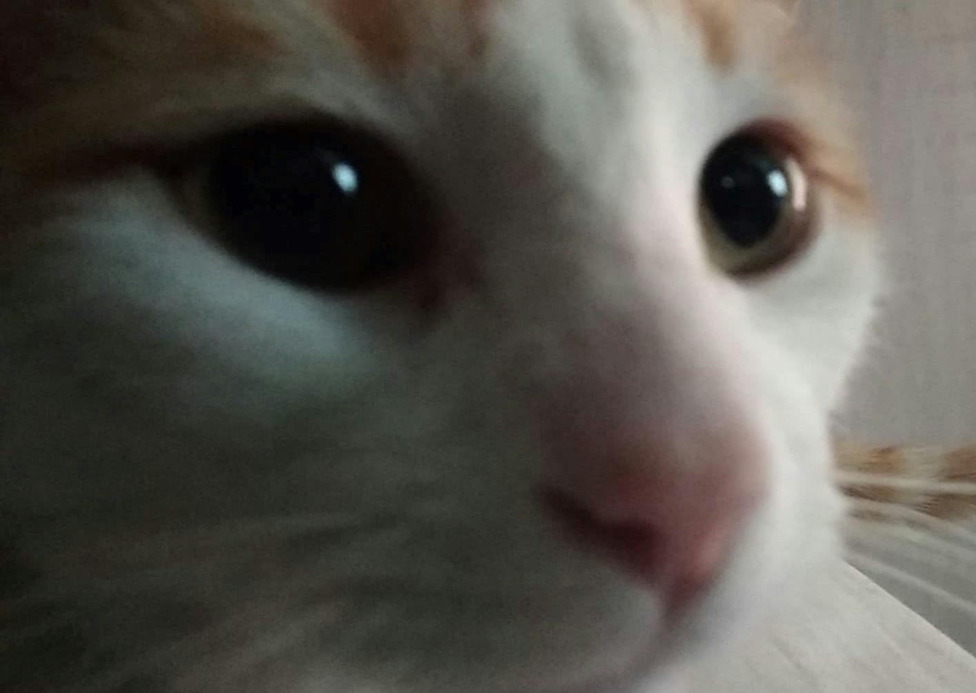 user avatar image for SrUliches
