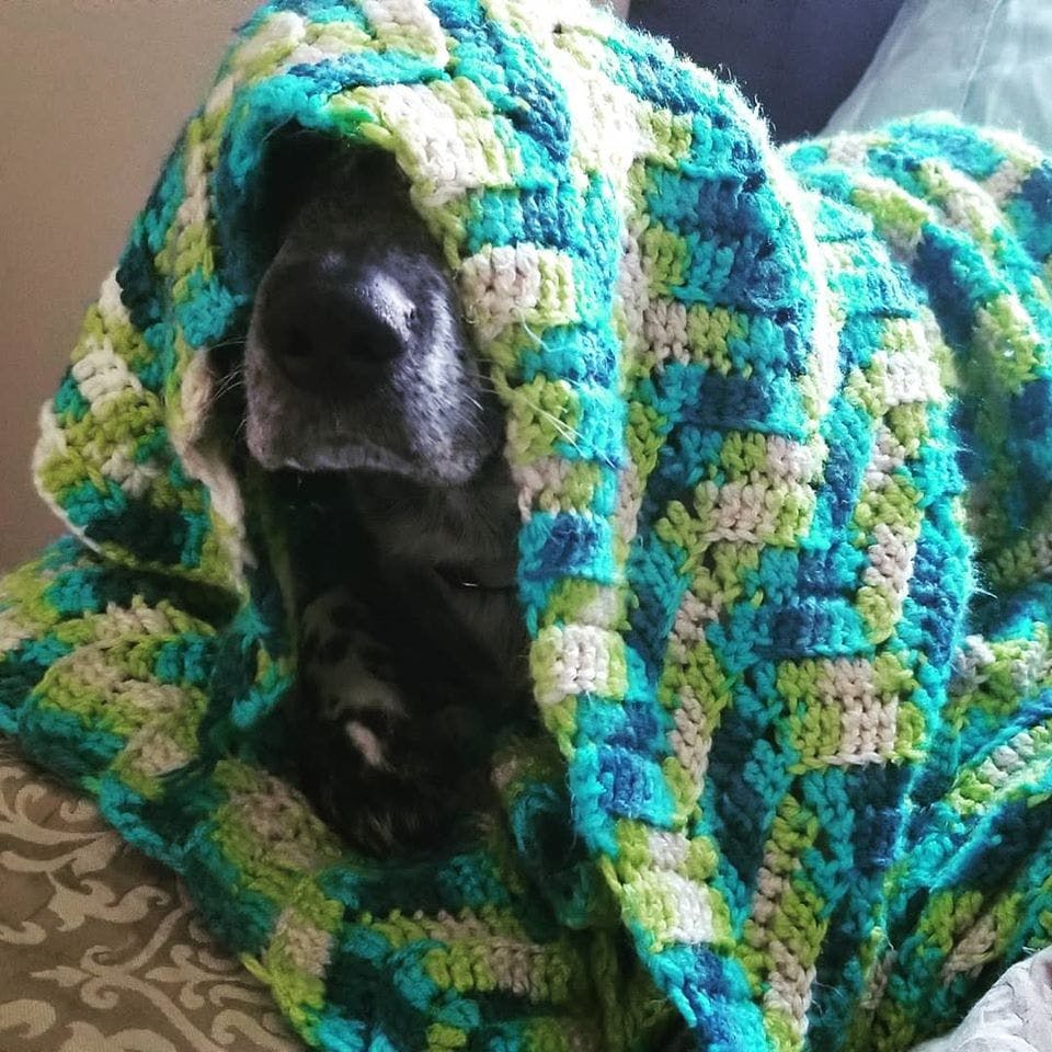 user avatar image for meg87red