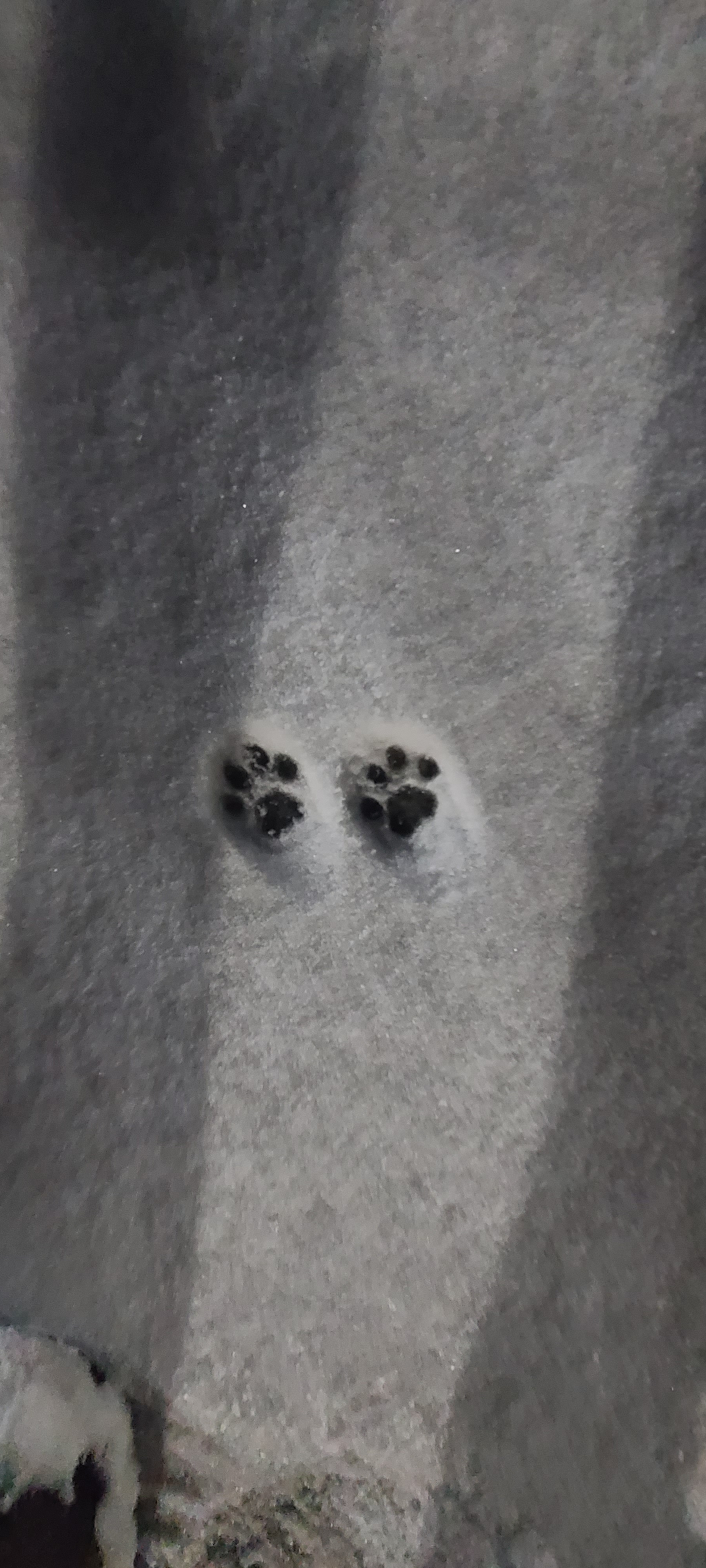 user avatar image for Max