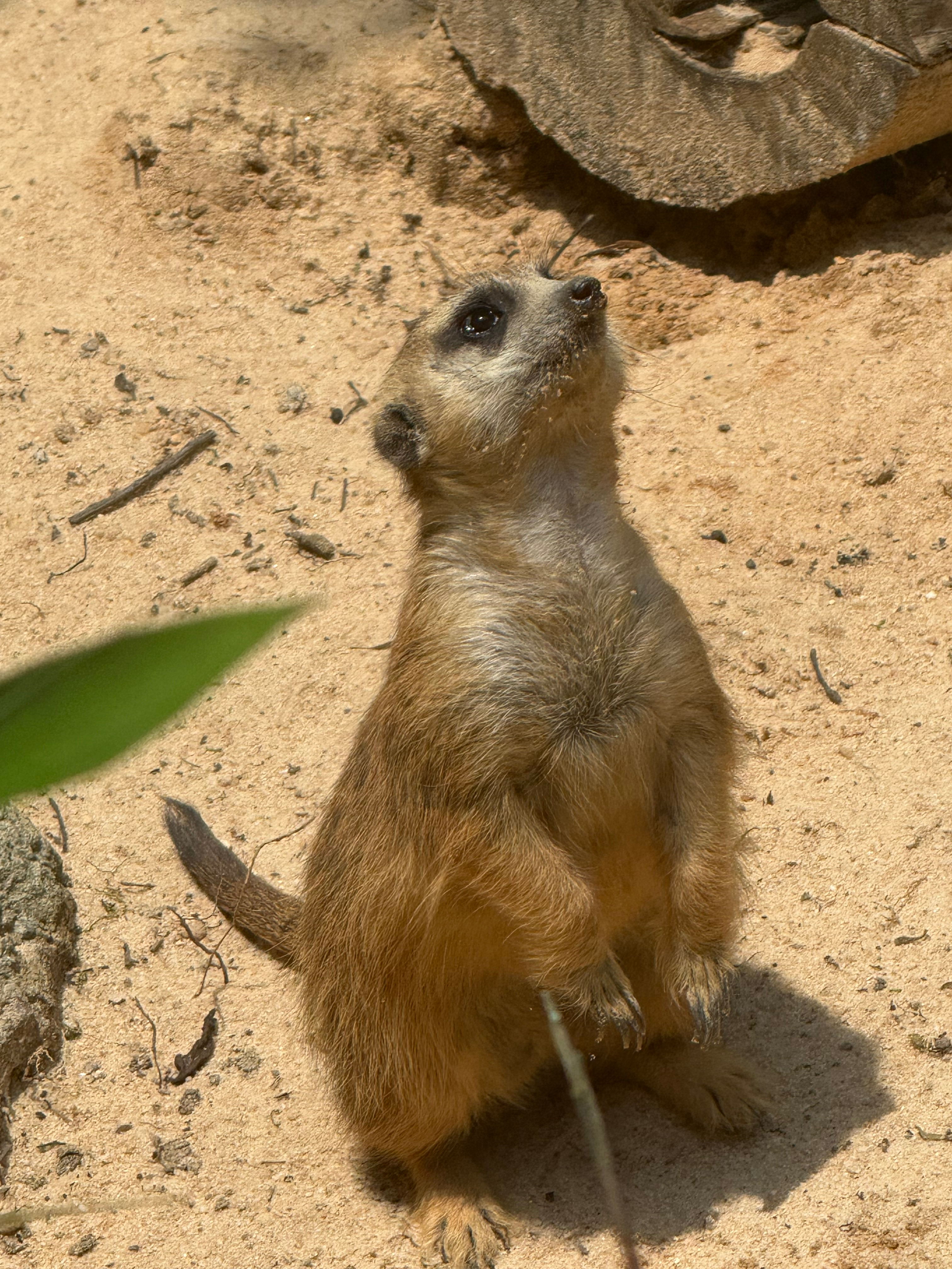 user avatar image for Sewerjack