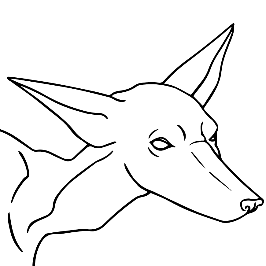 user avatar image for Adryen
